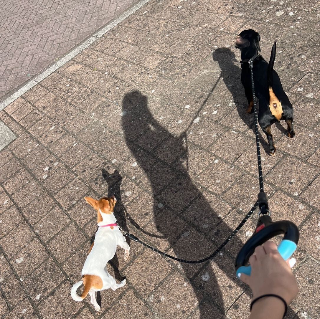 image-18