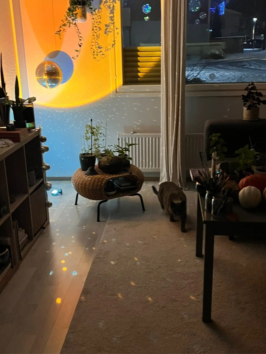 image-3