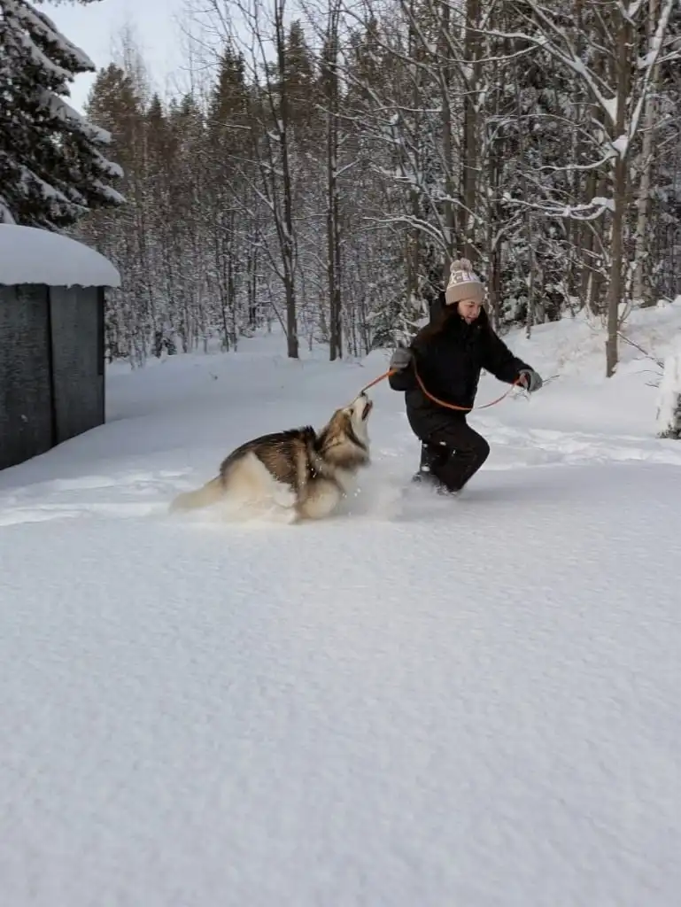 image-5