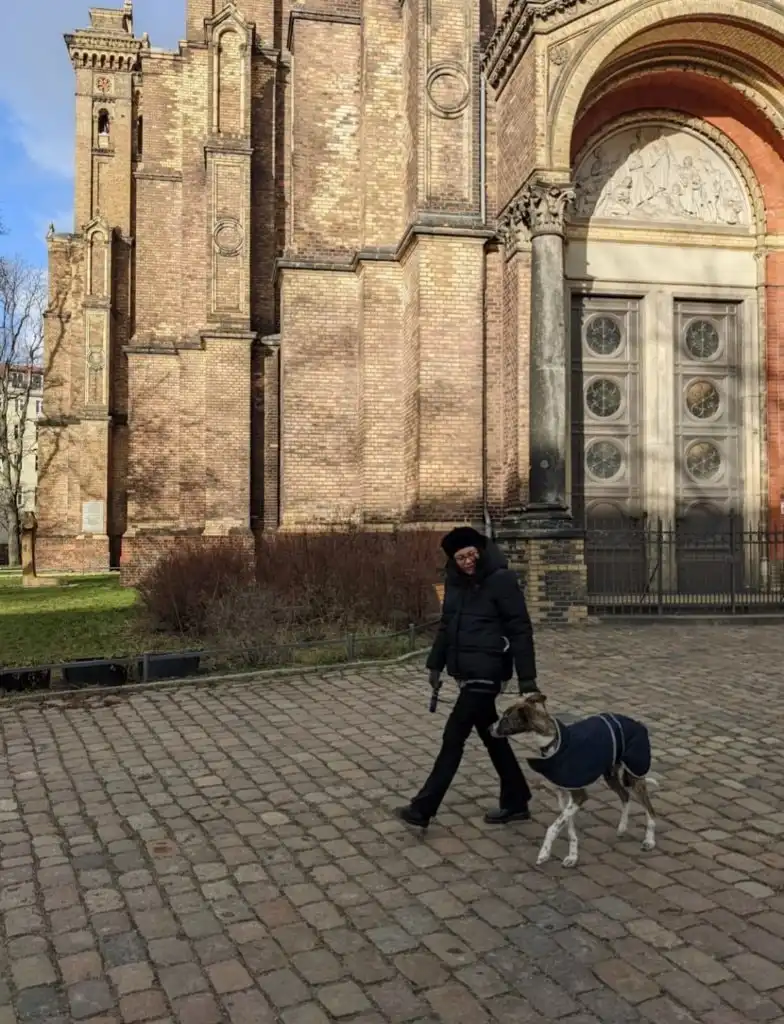 image-7