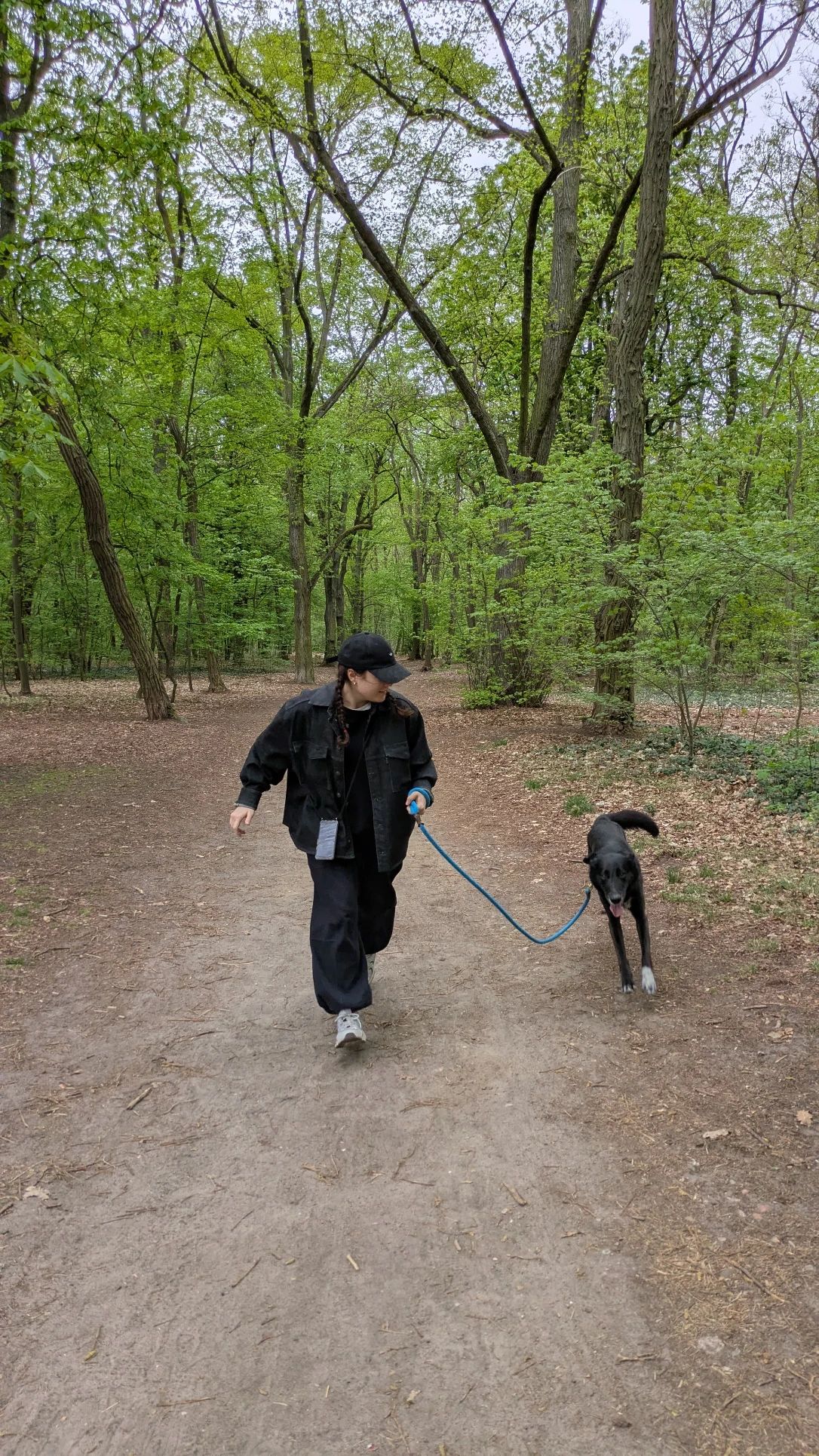 image-9