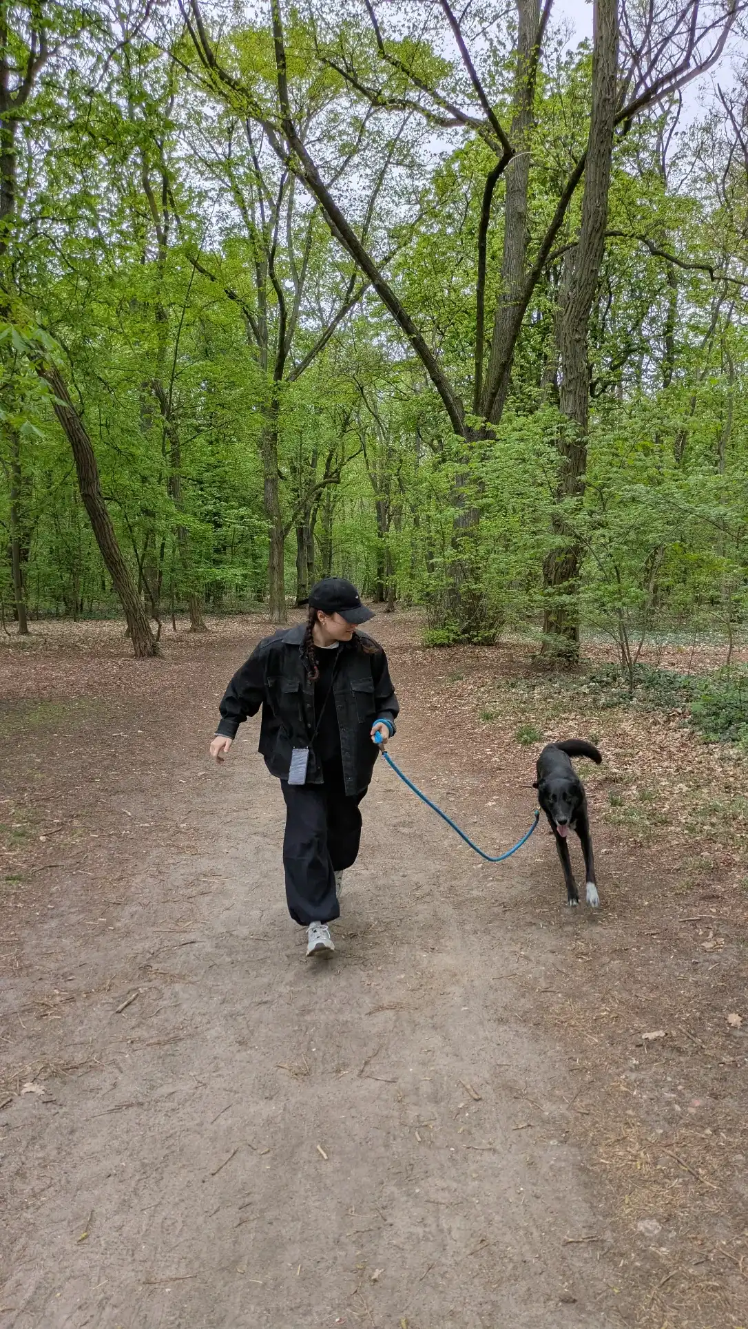 image-9