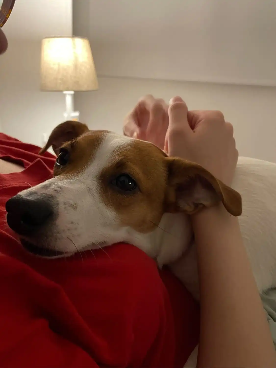 image-6