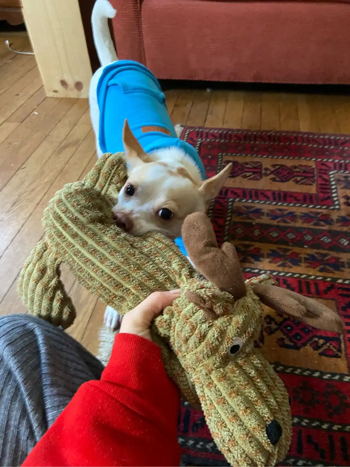 image-6