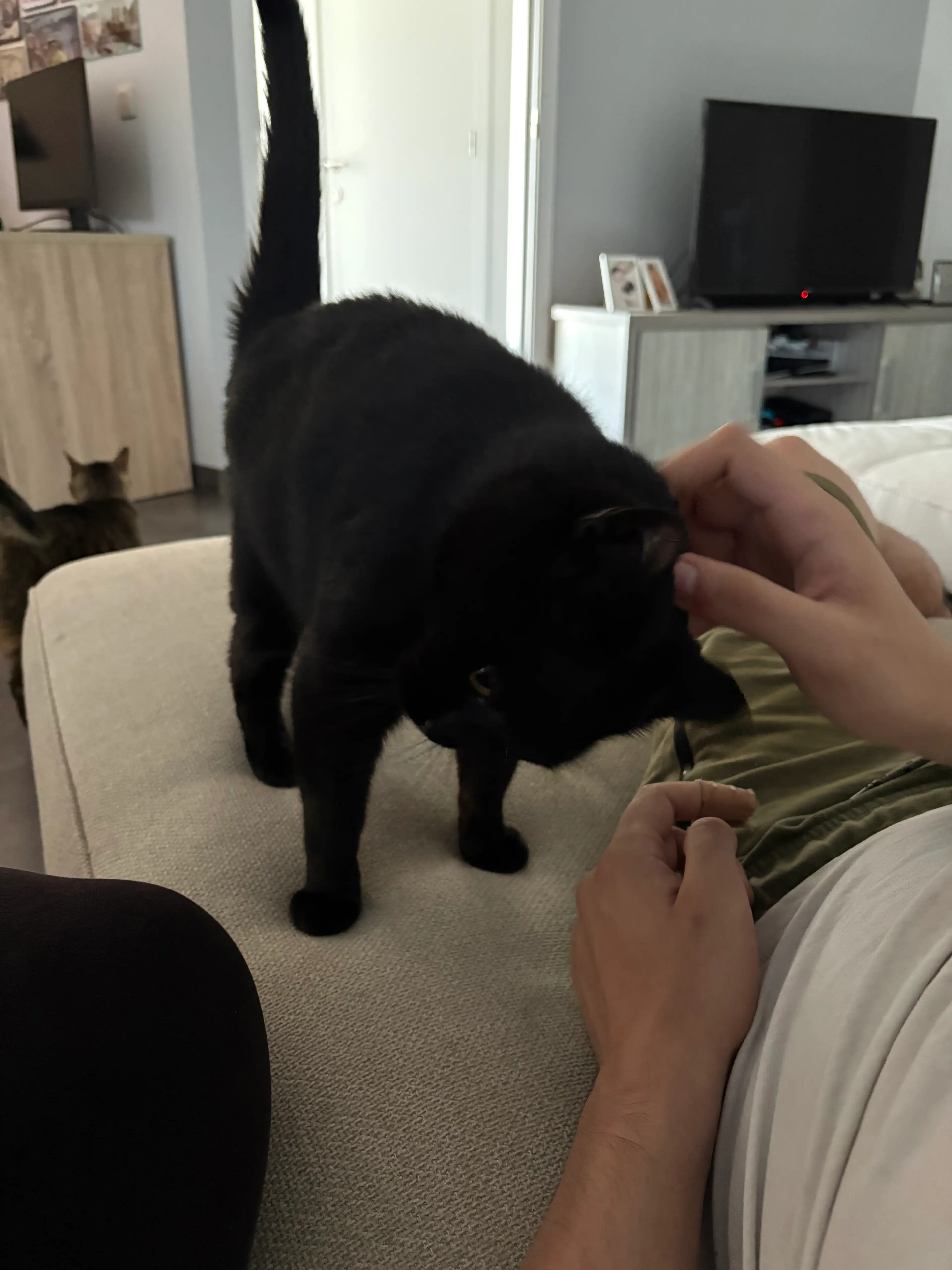 image-11