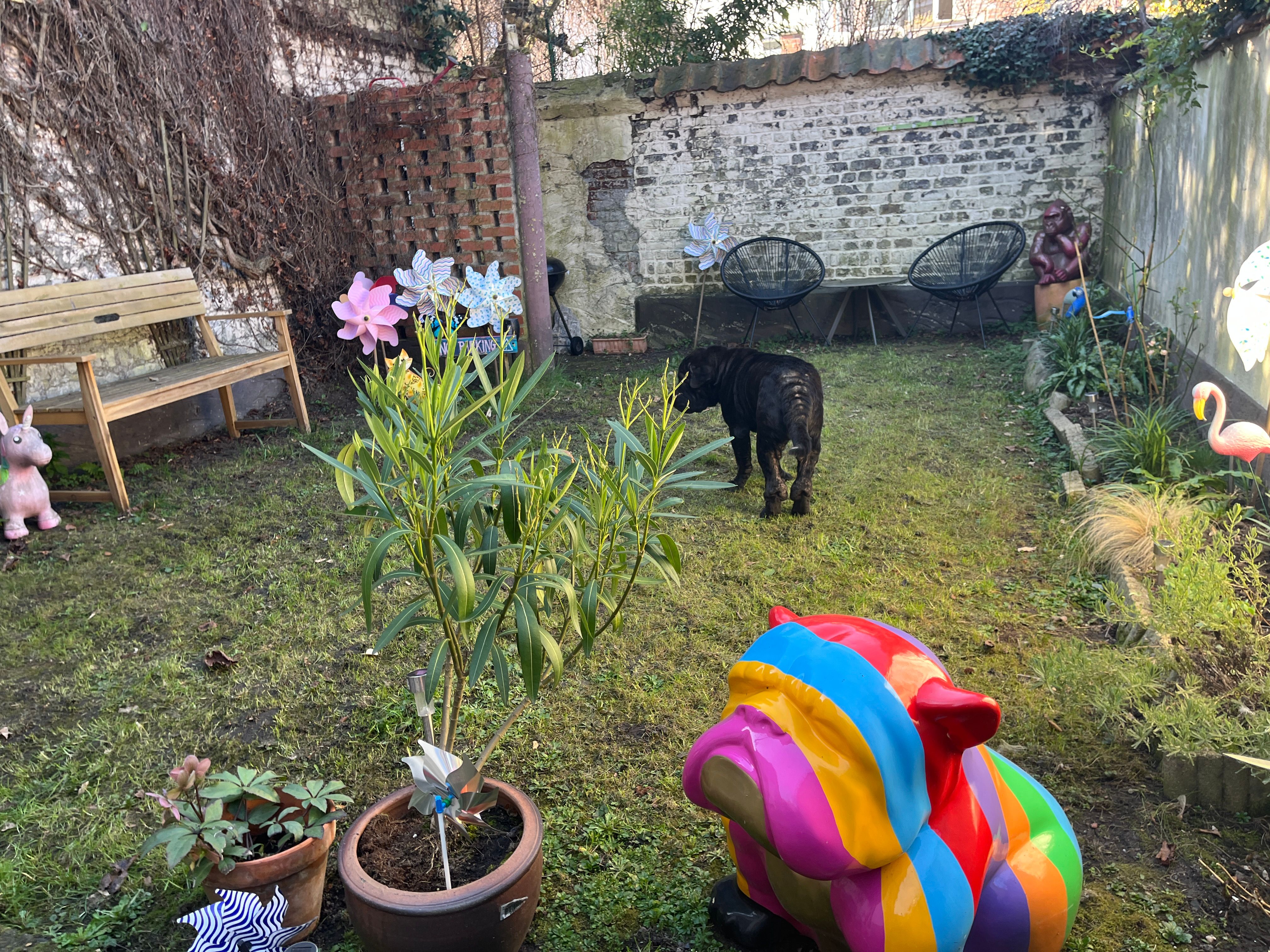 image-5