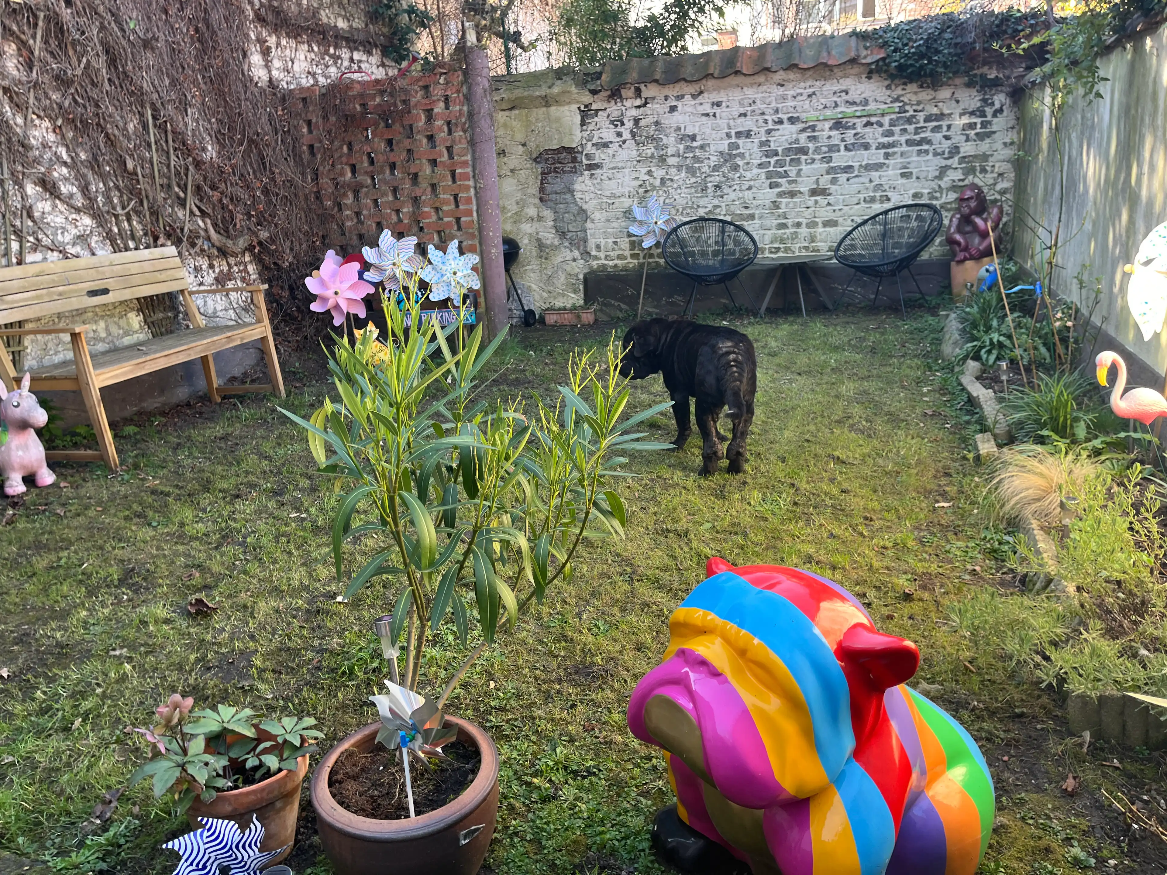 image-5