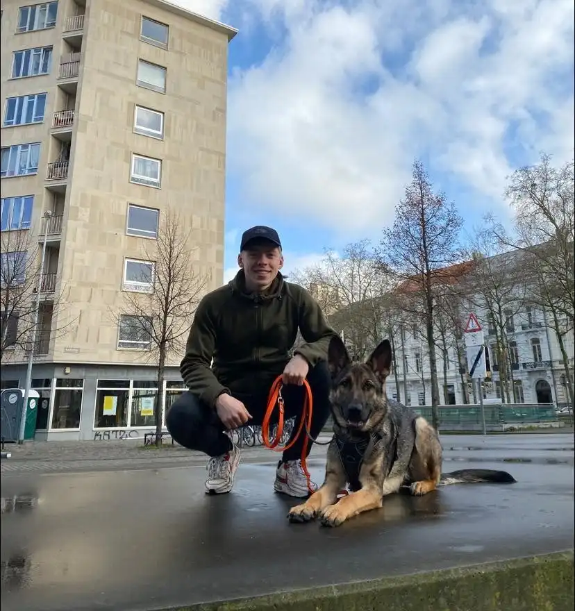 image-6