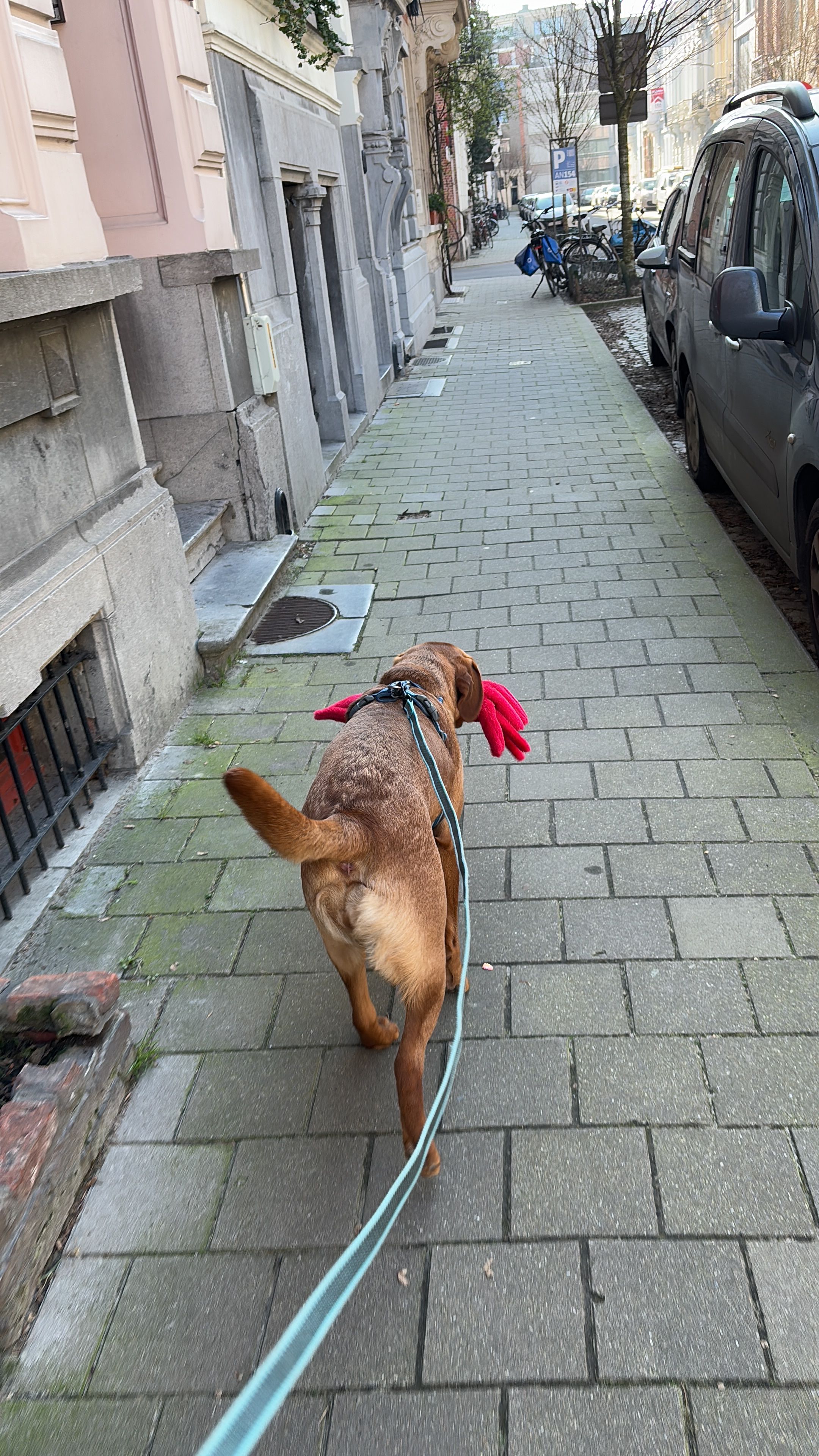 image-11