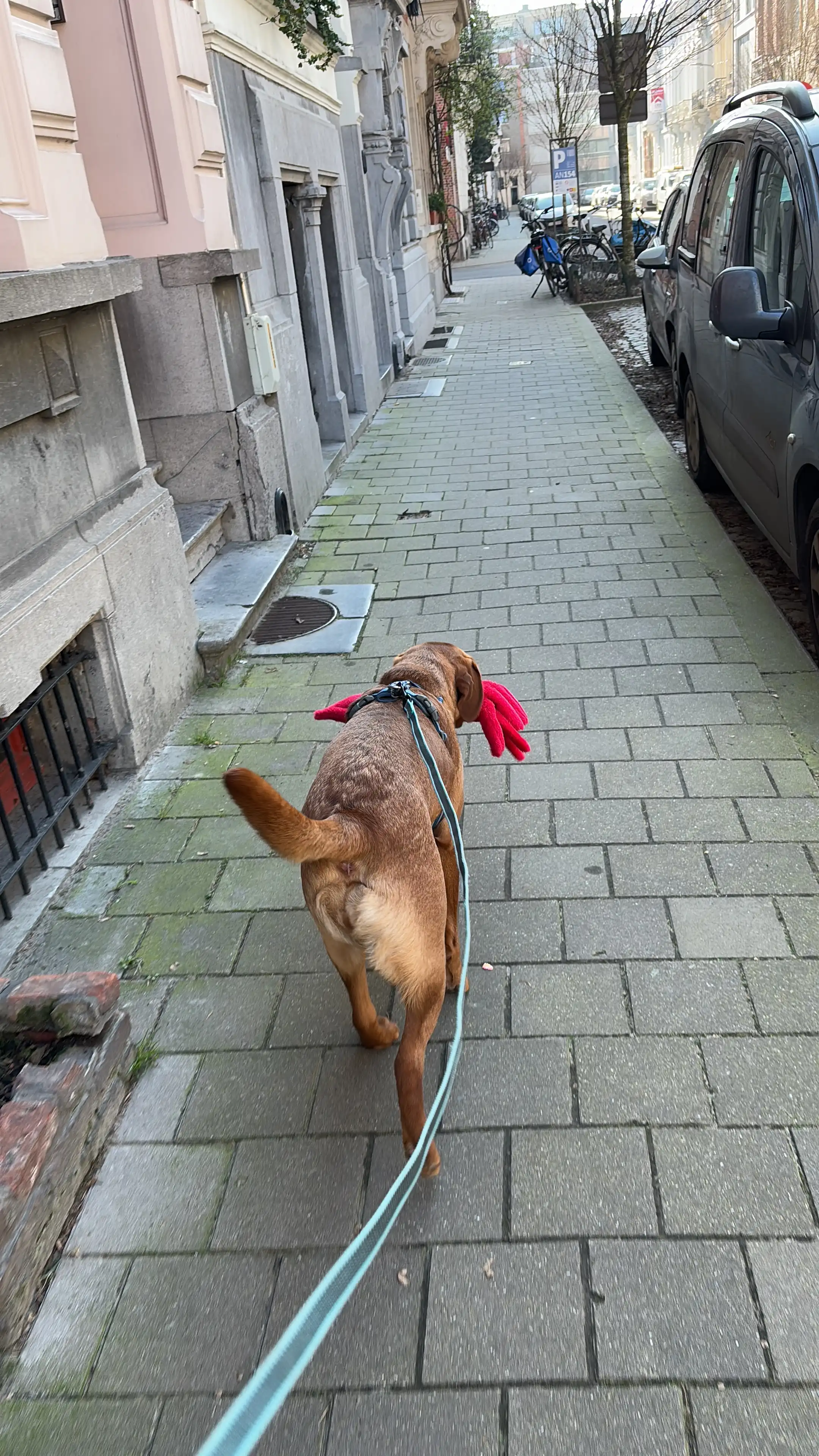 image-11