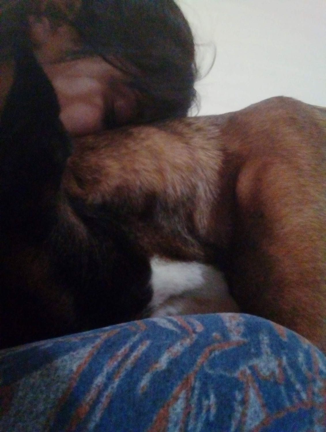image-5