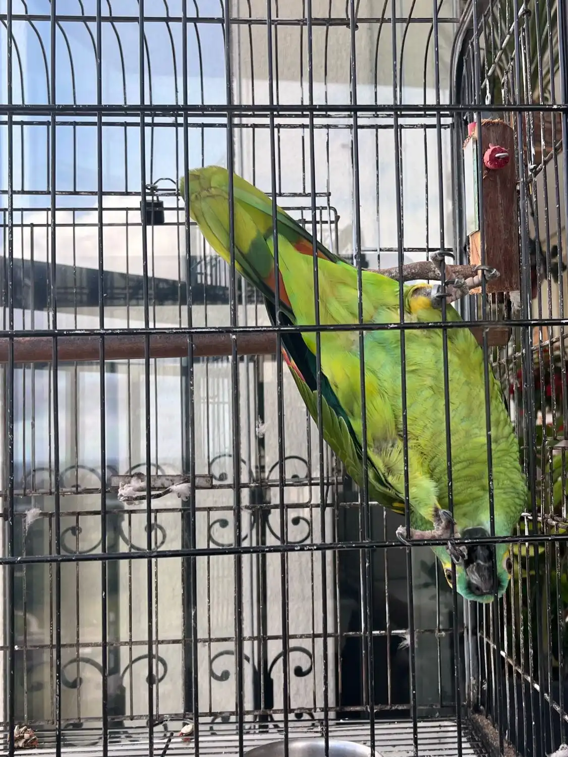 image-12