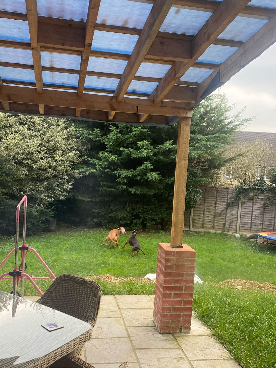 image-14