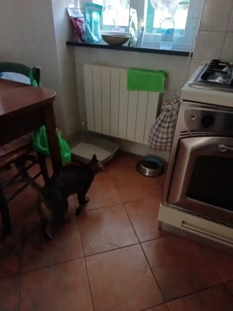 image-7