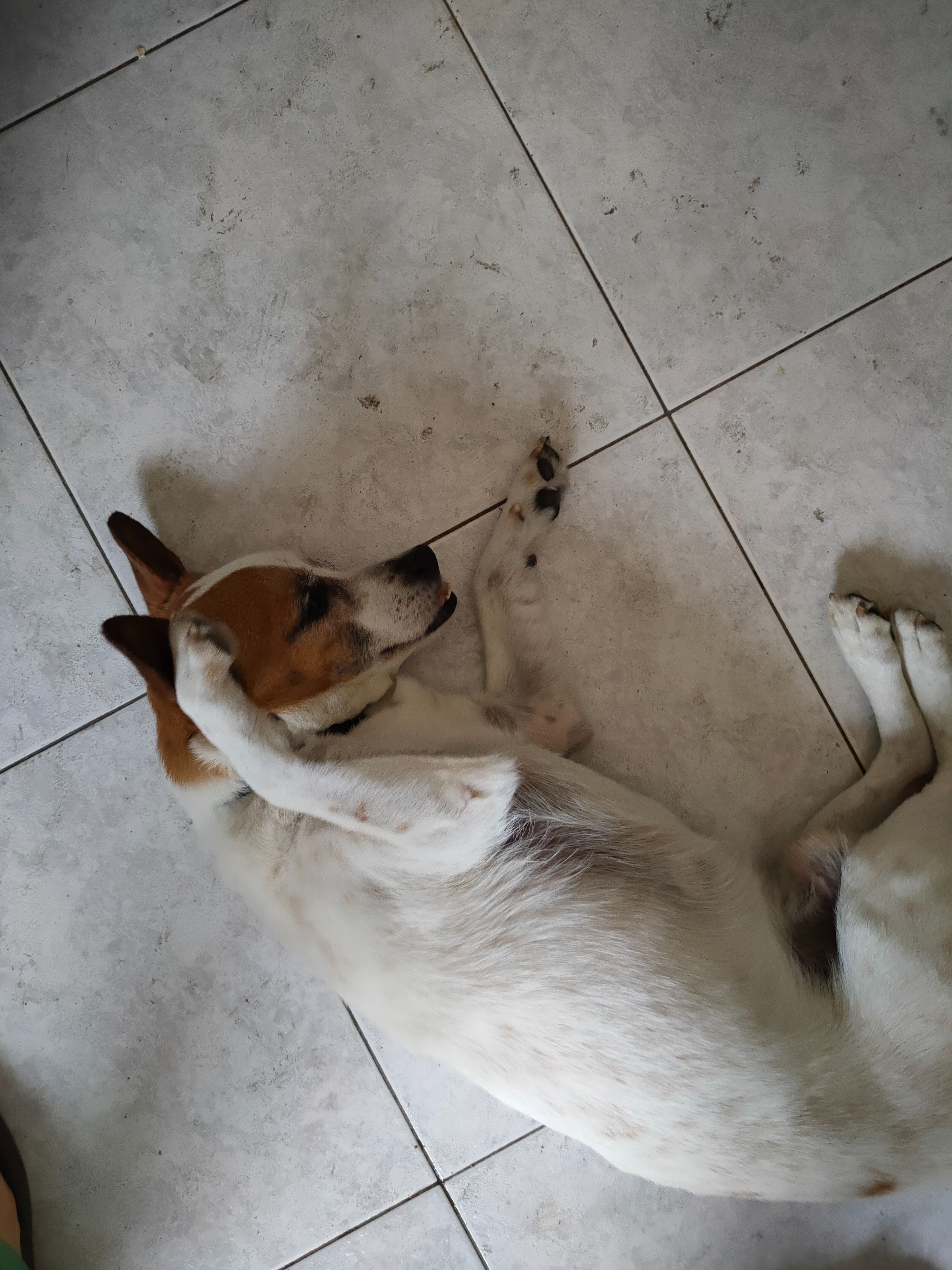 image-7