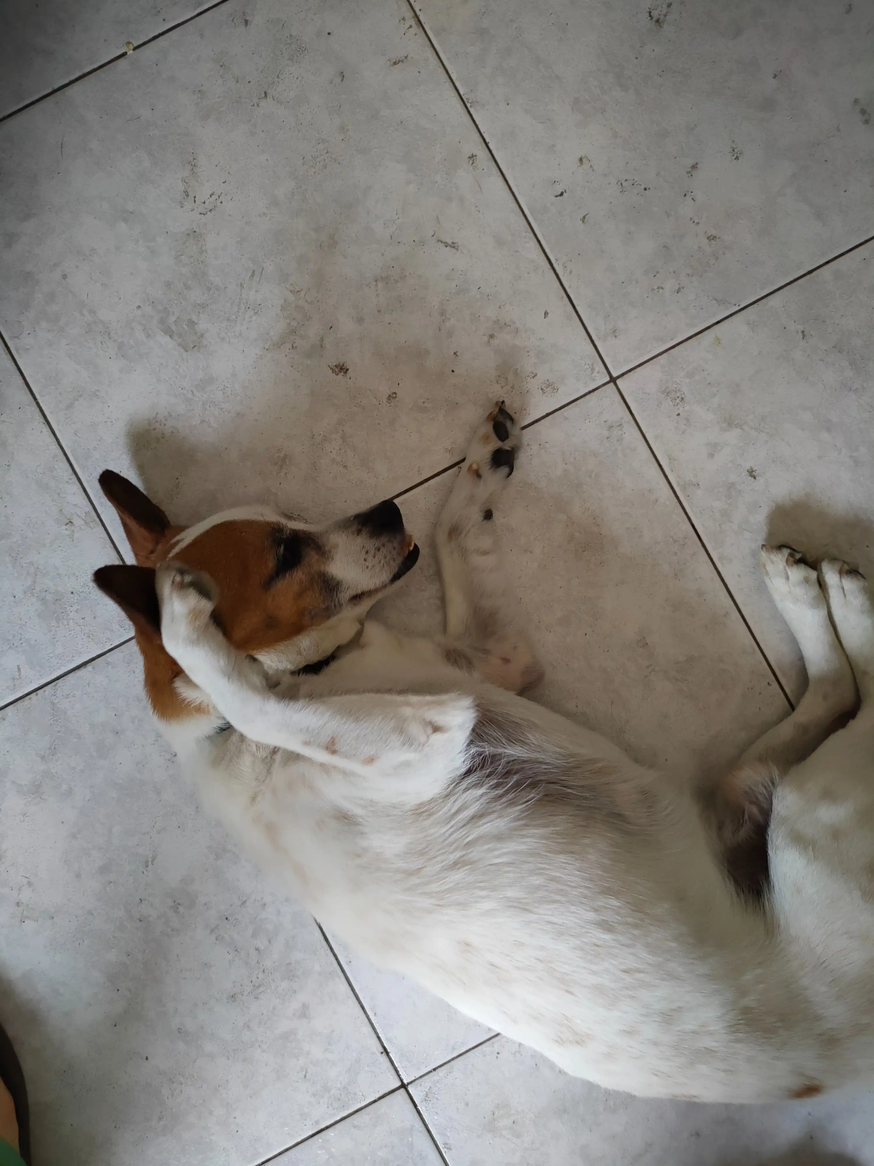 image-7