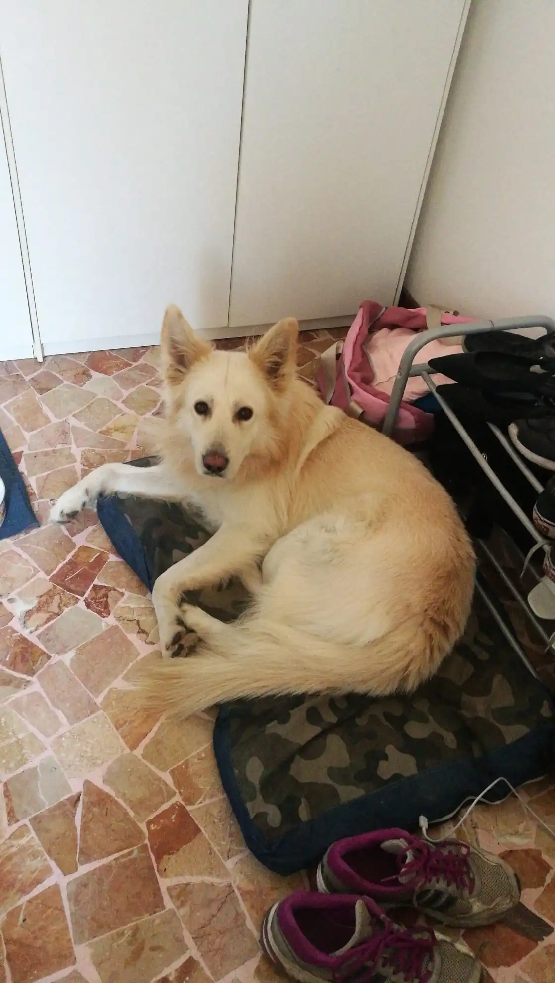 image-15