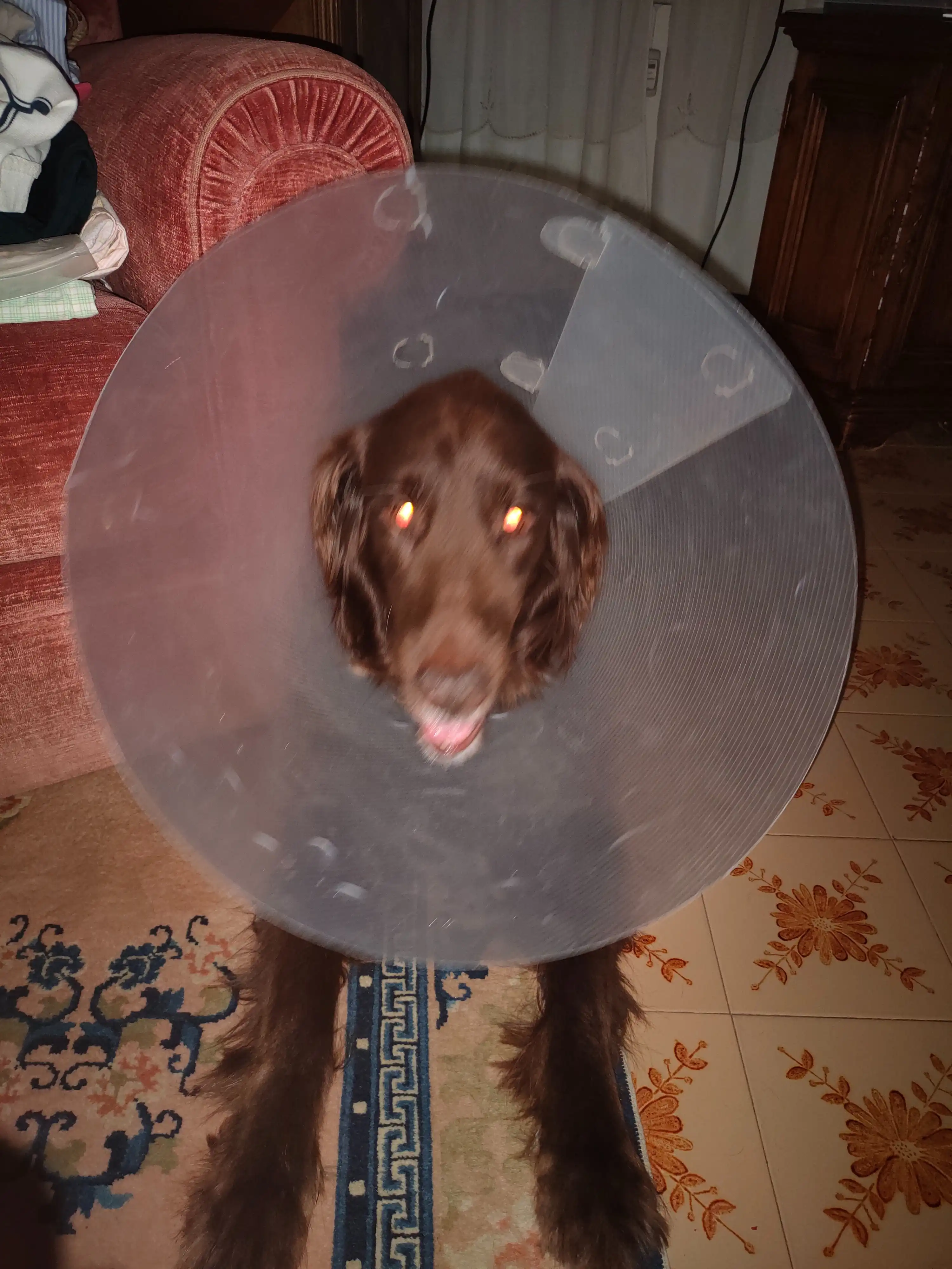 image-6