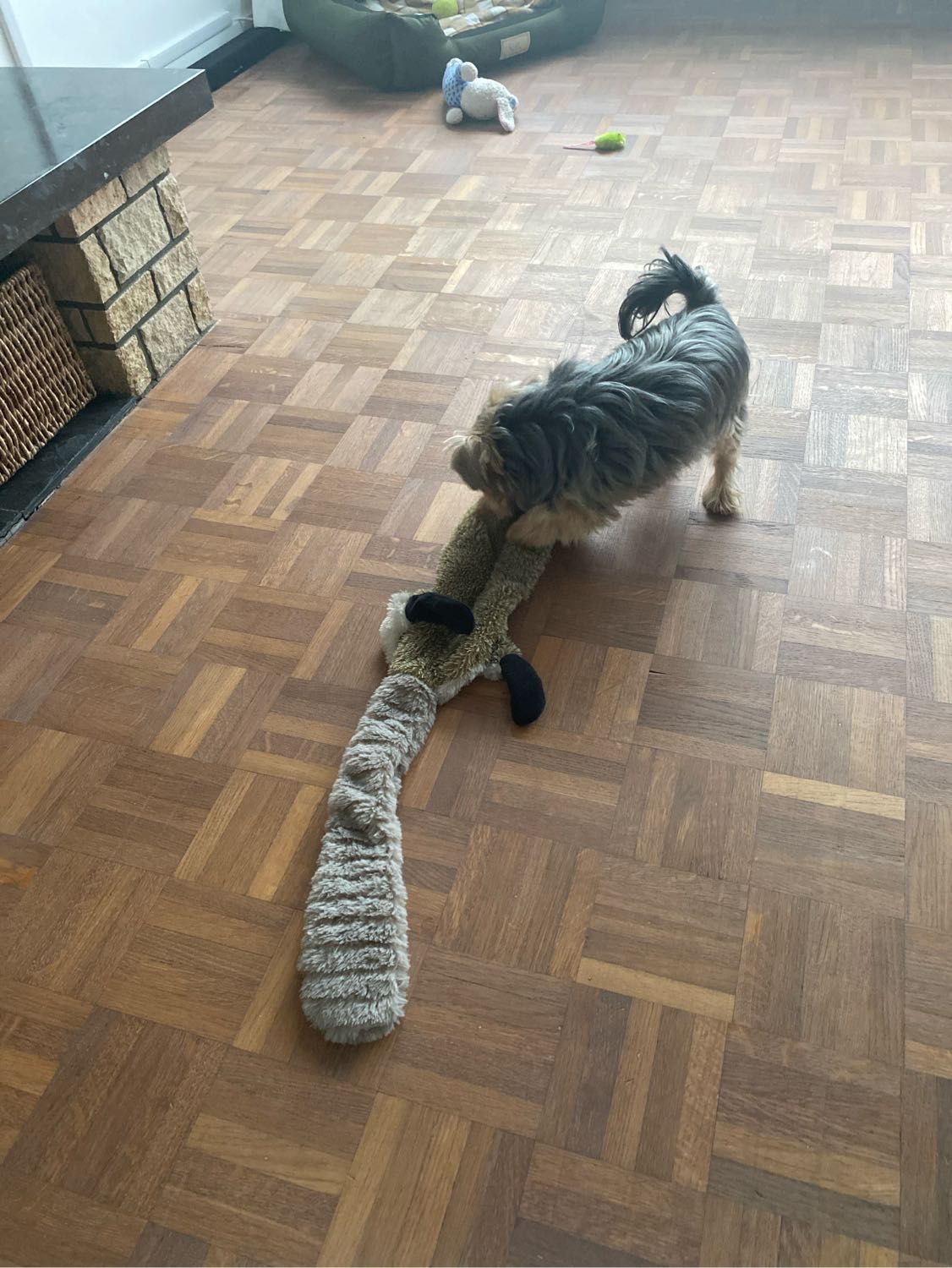 image-11