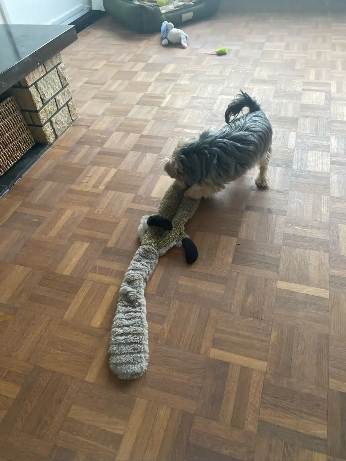 image-11