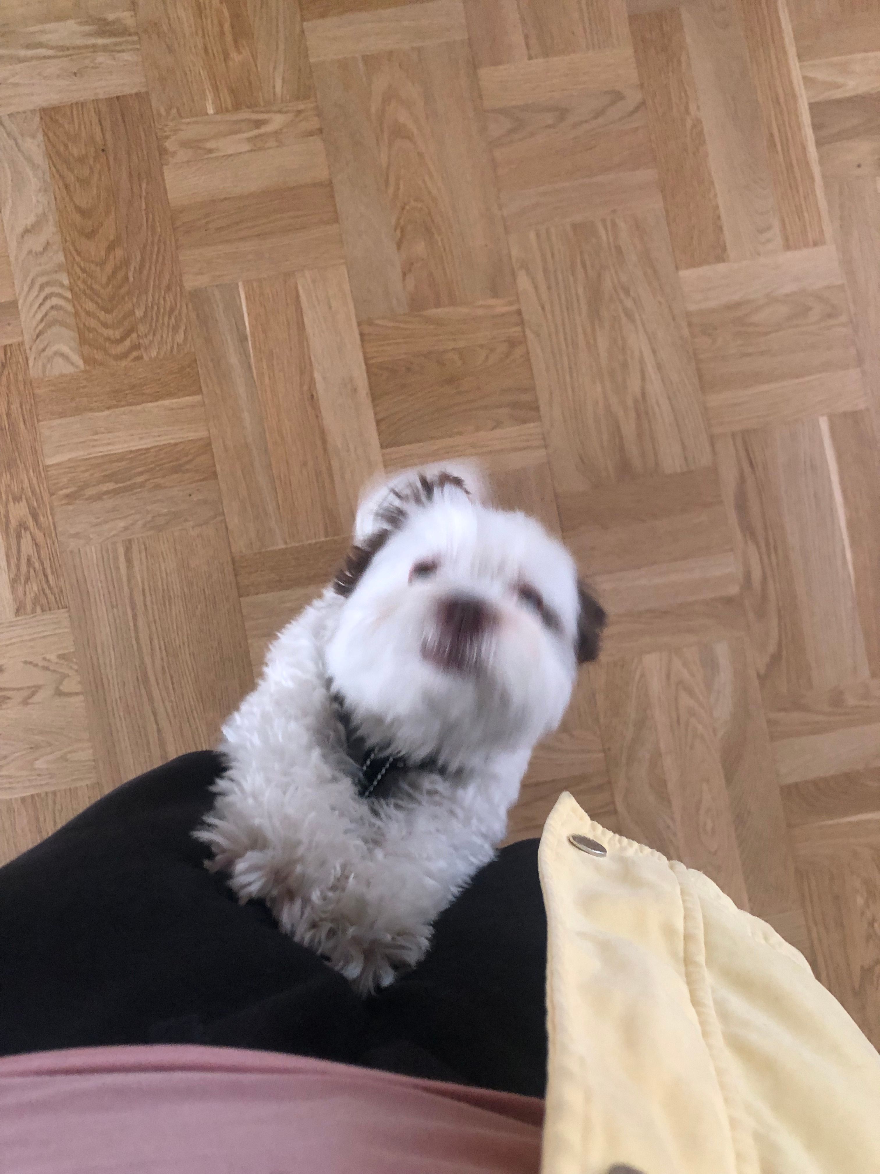 image-6