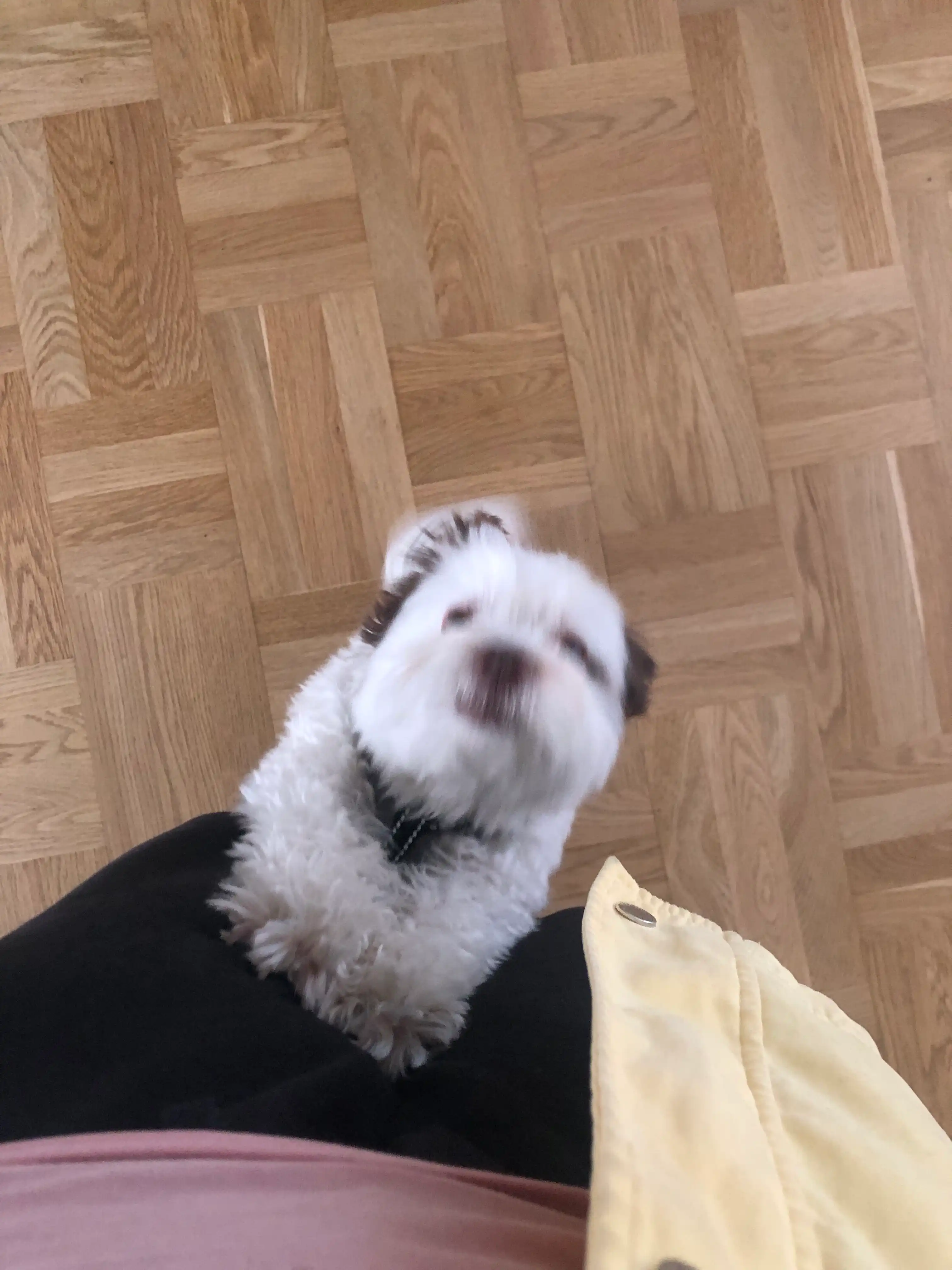 image-6