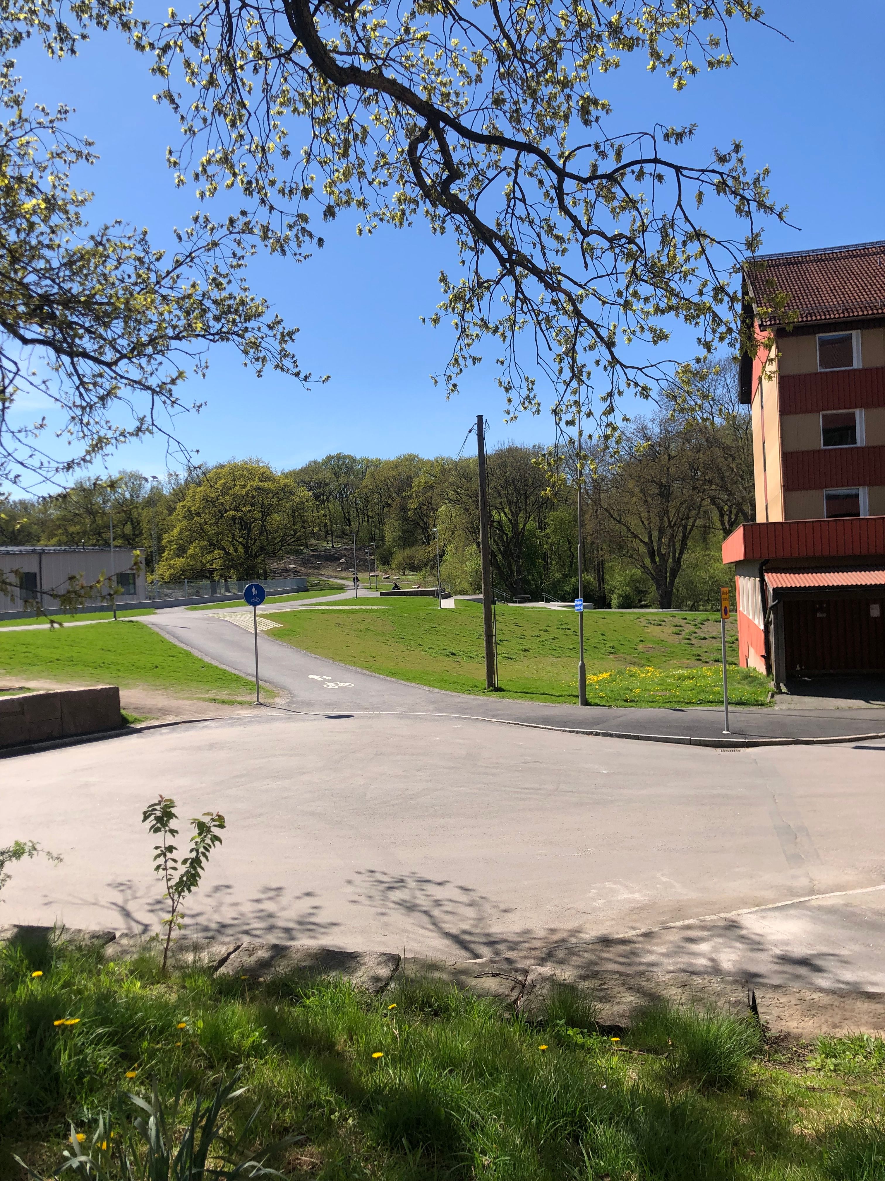 image-21