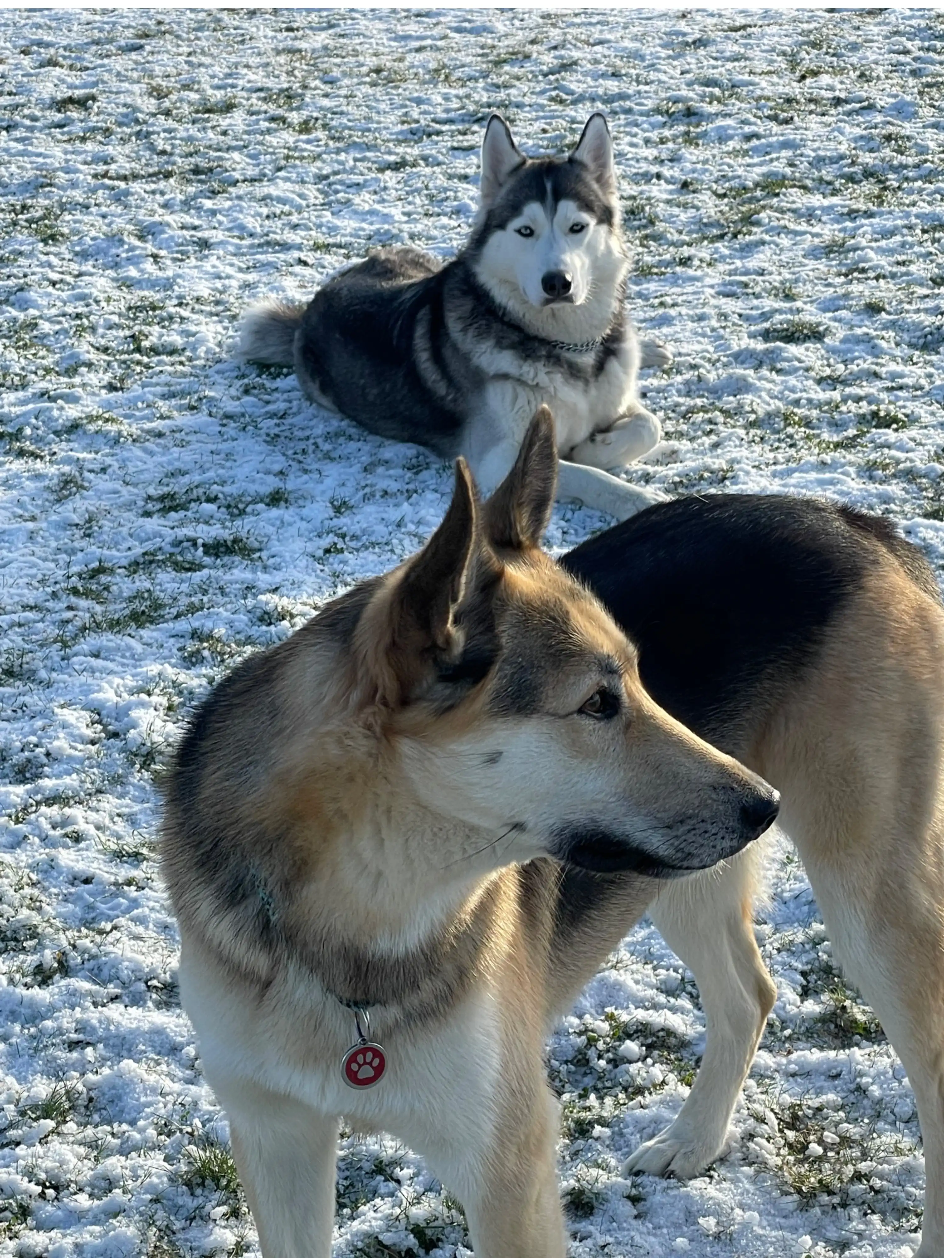 image-66
