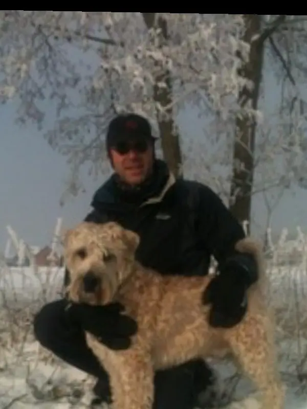 image-4