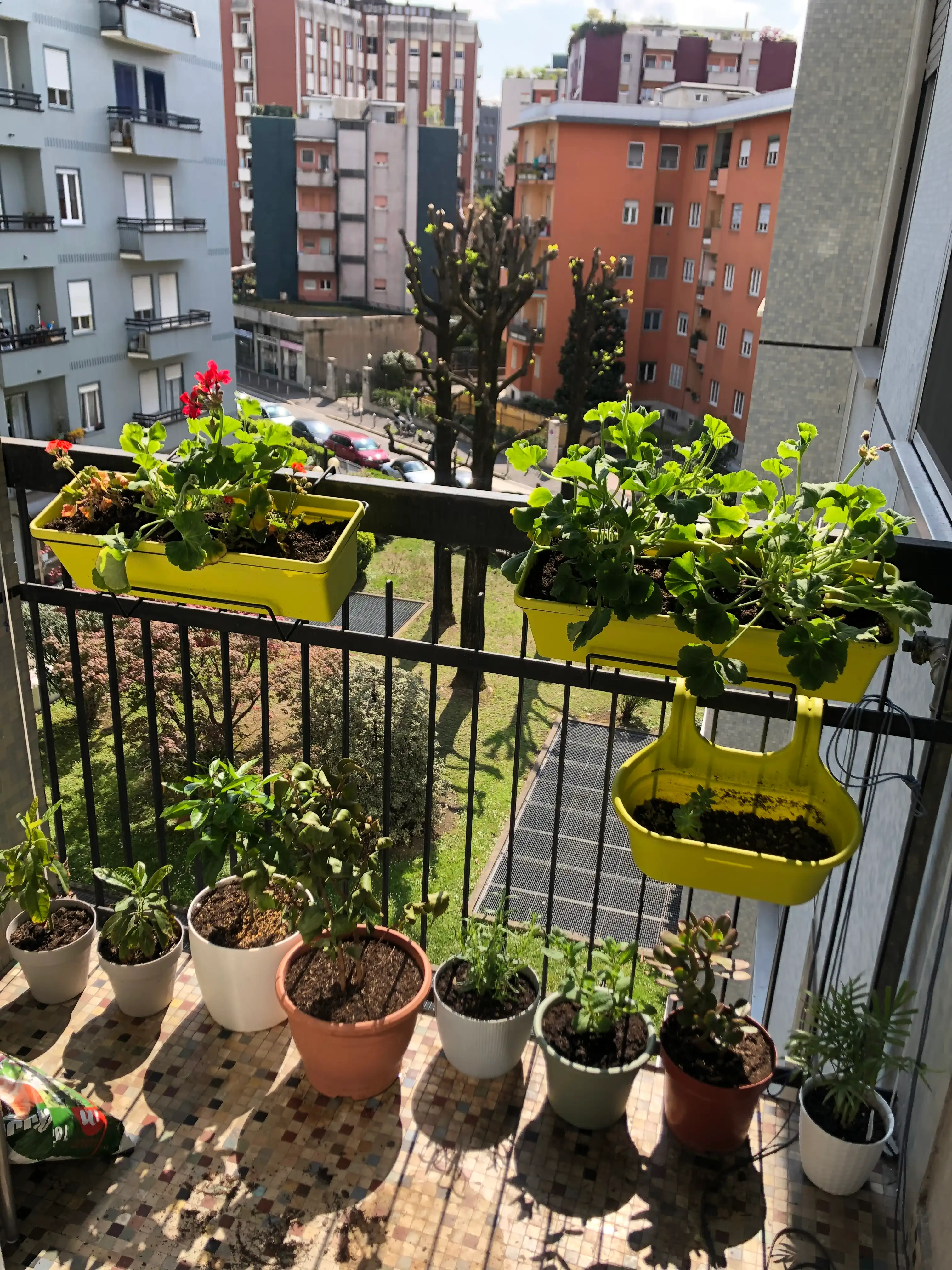 image-10