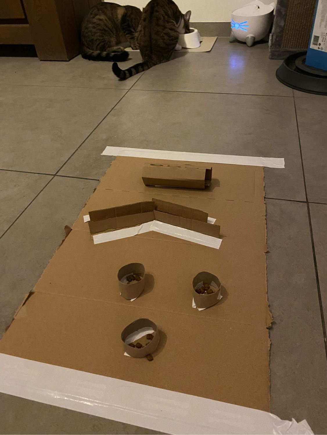 image-3