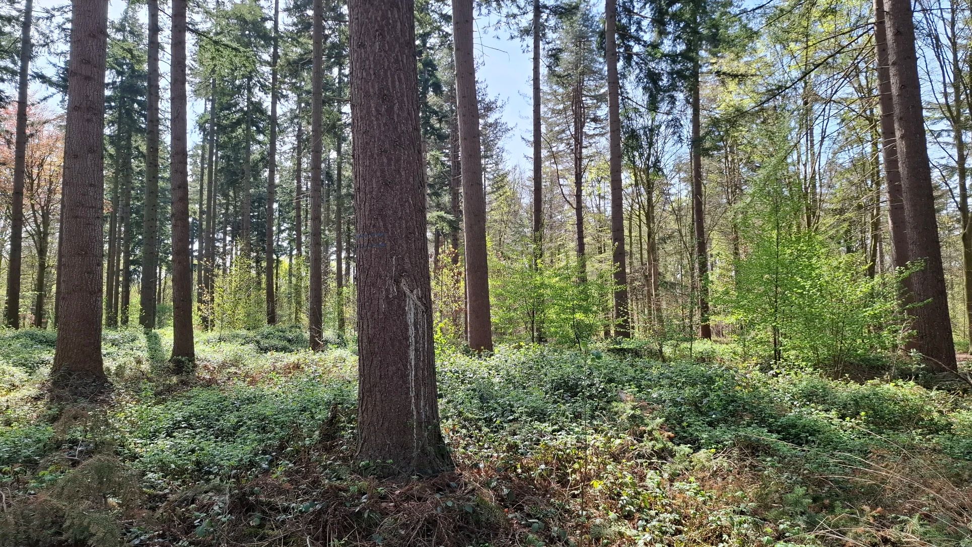 image-10