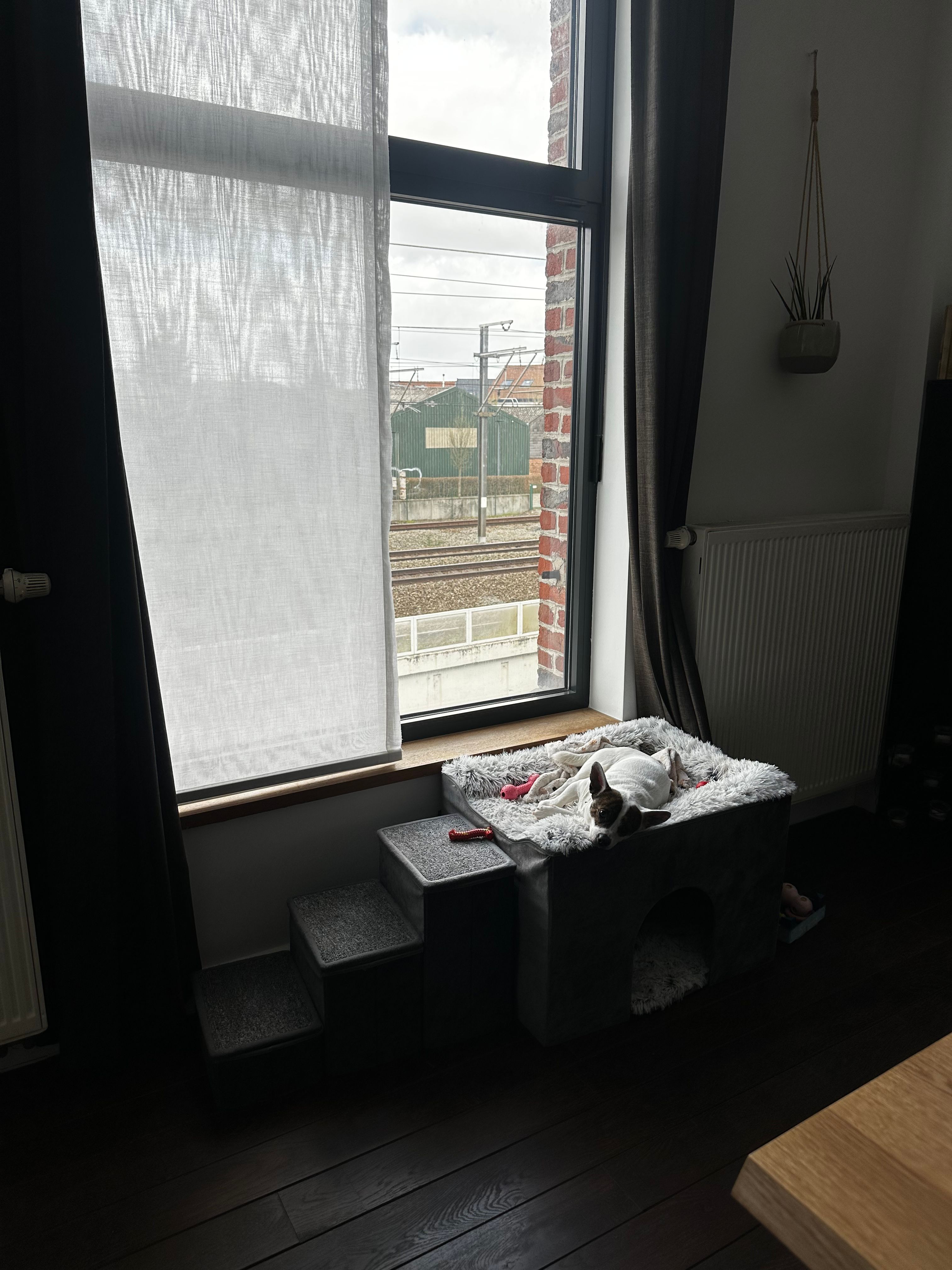 image-11