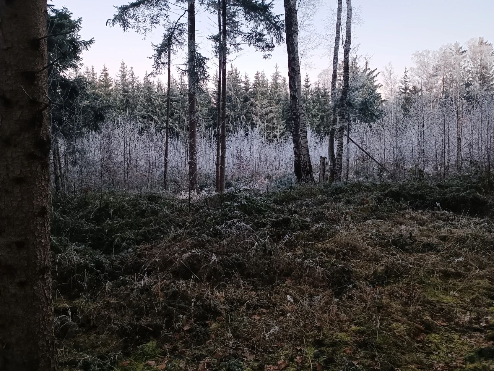 image-8