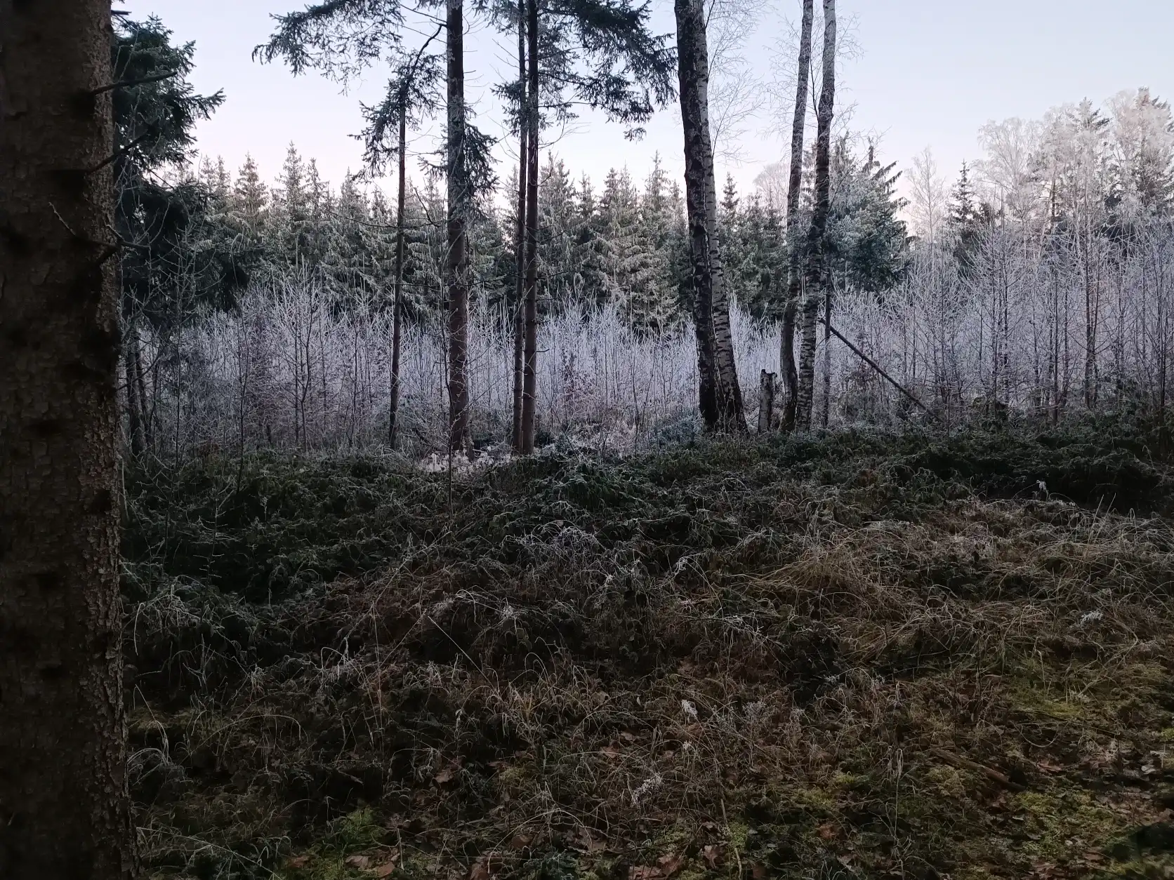 image-8