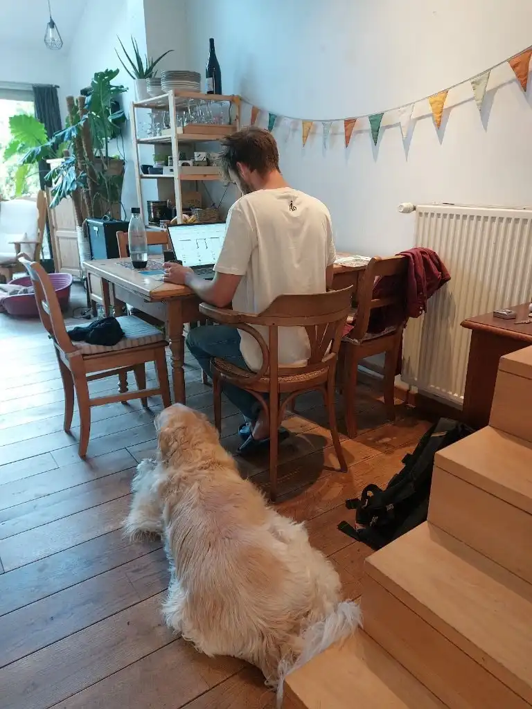 image-33