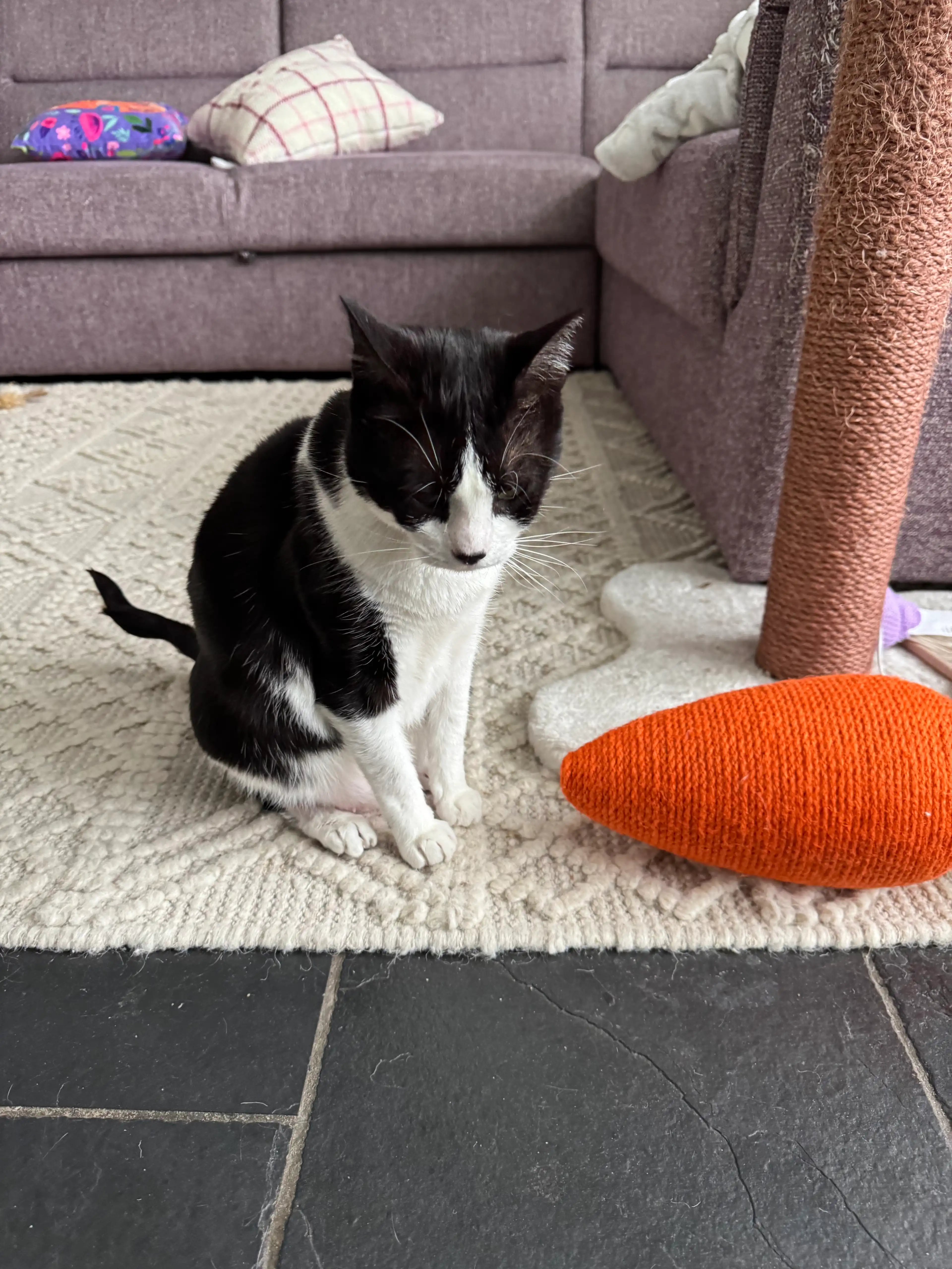 image-17