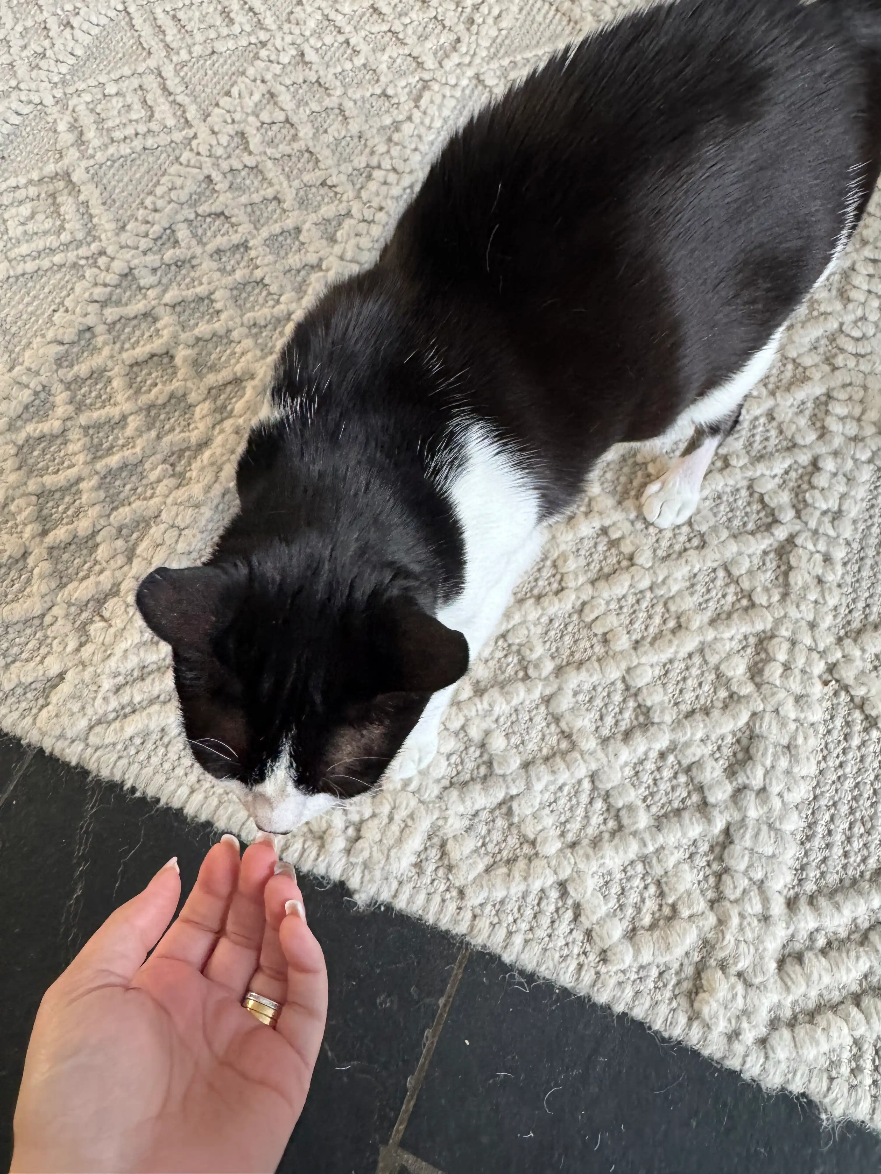 image-16