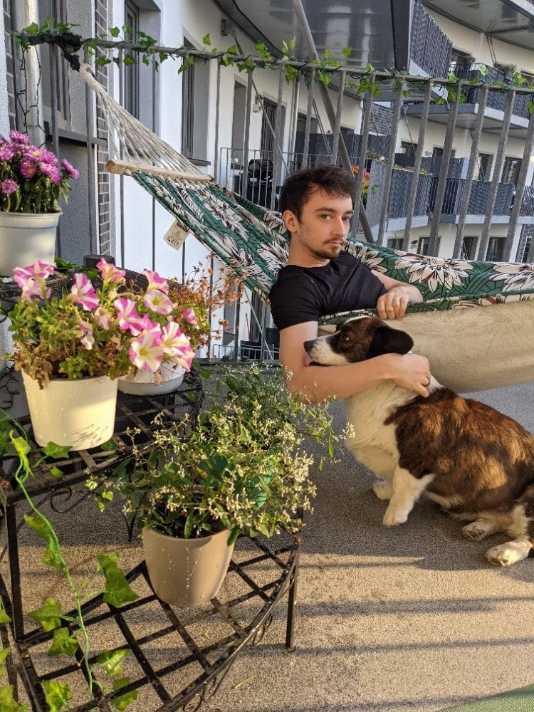 image-6