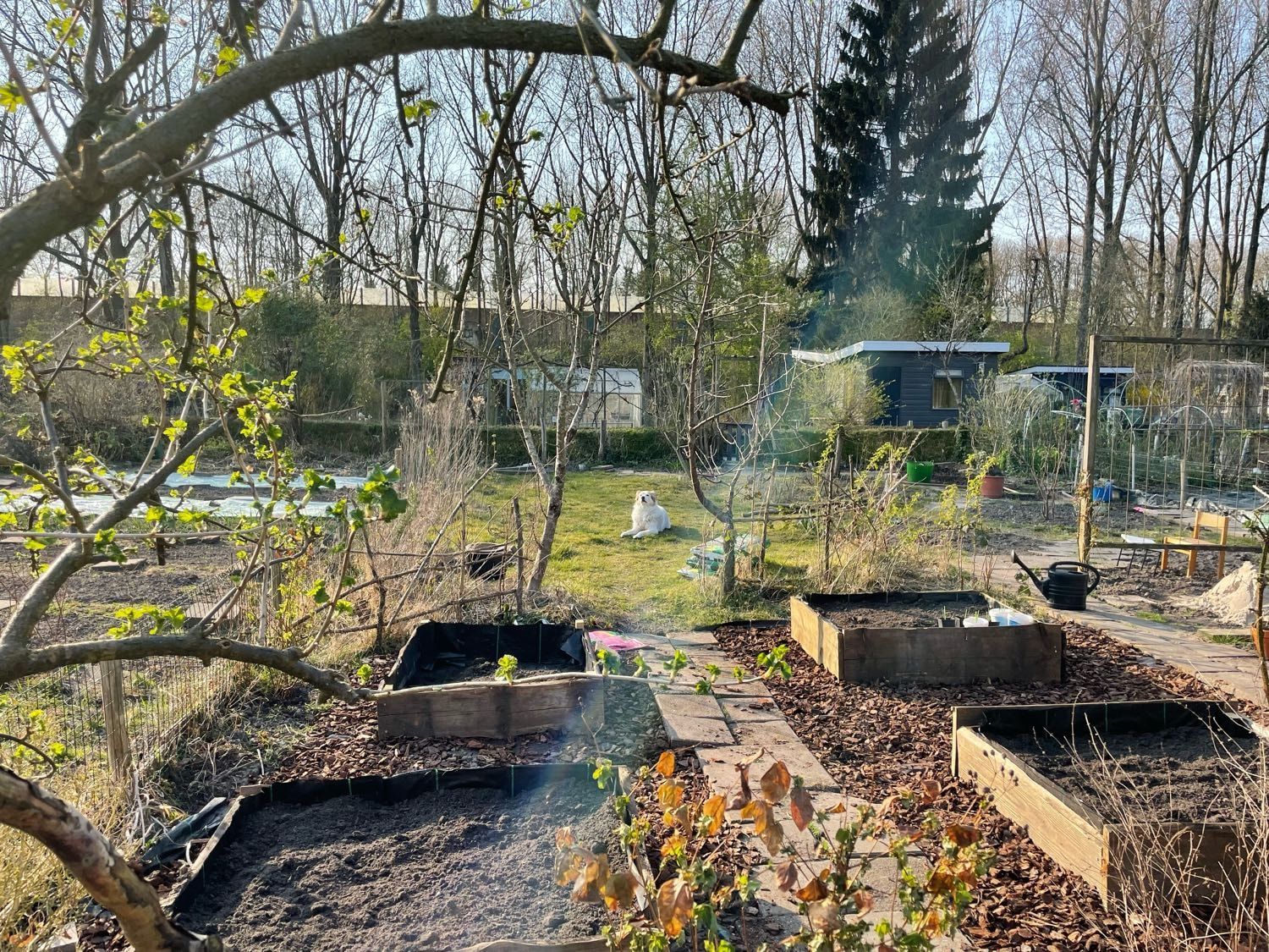 image-10