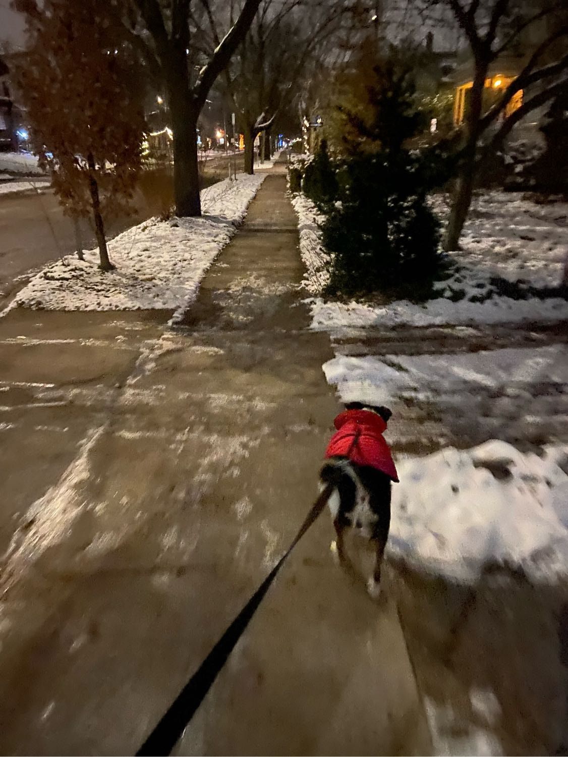 image-8