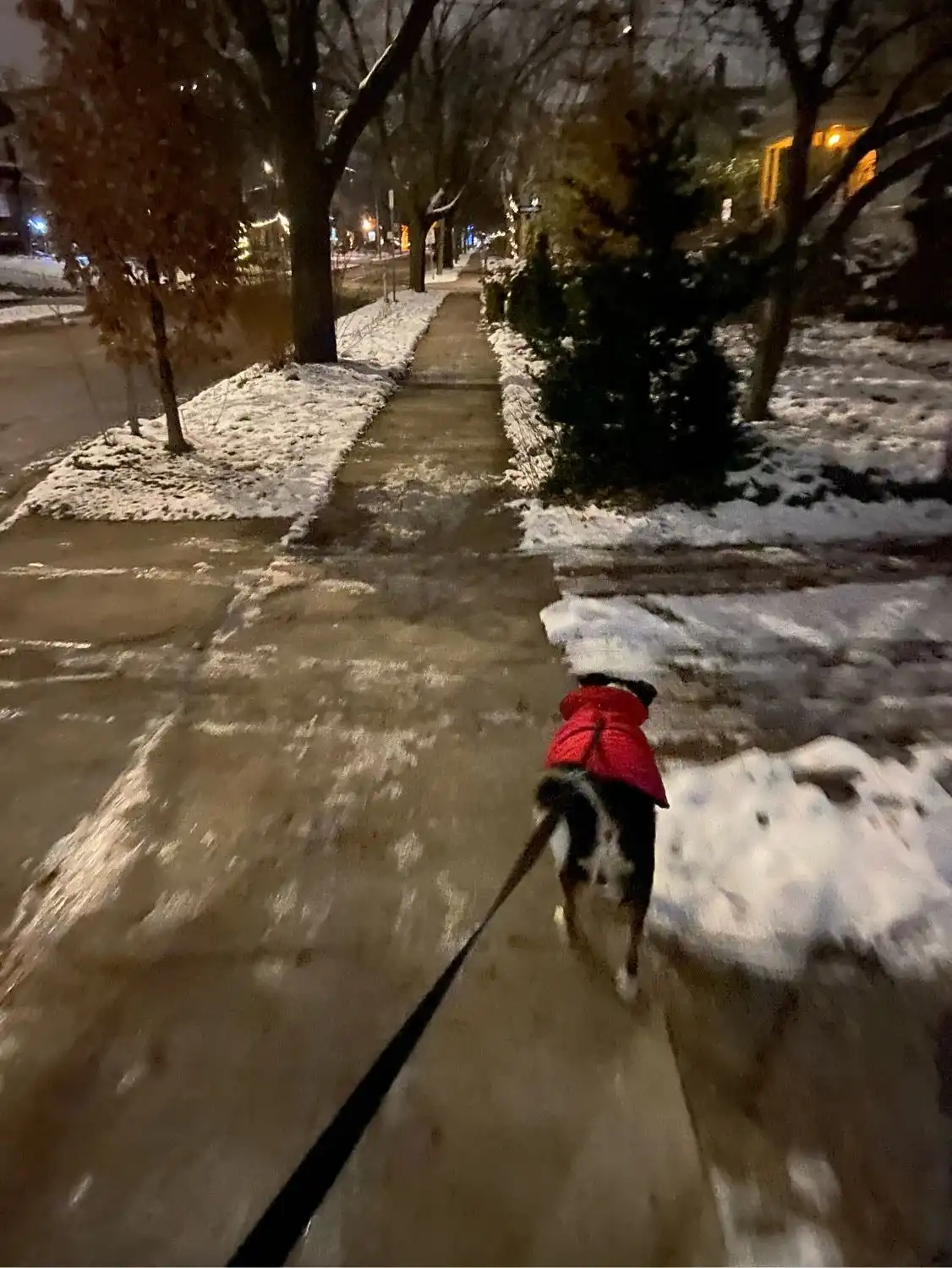 image-8