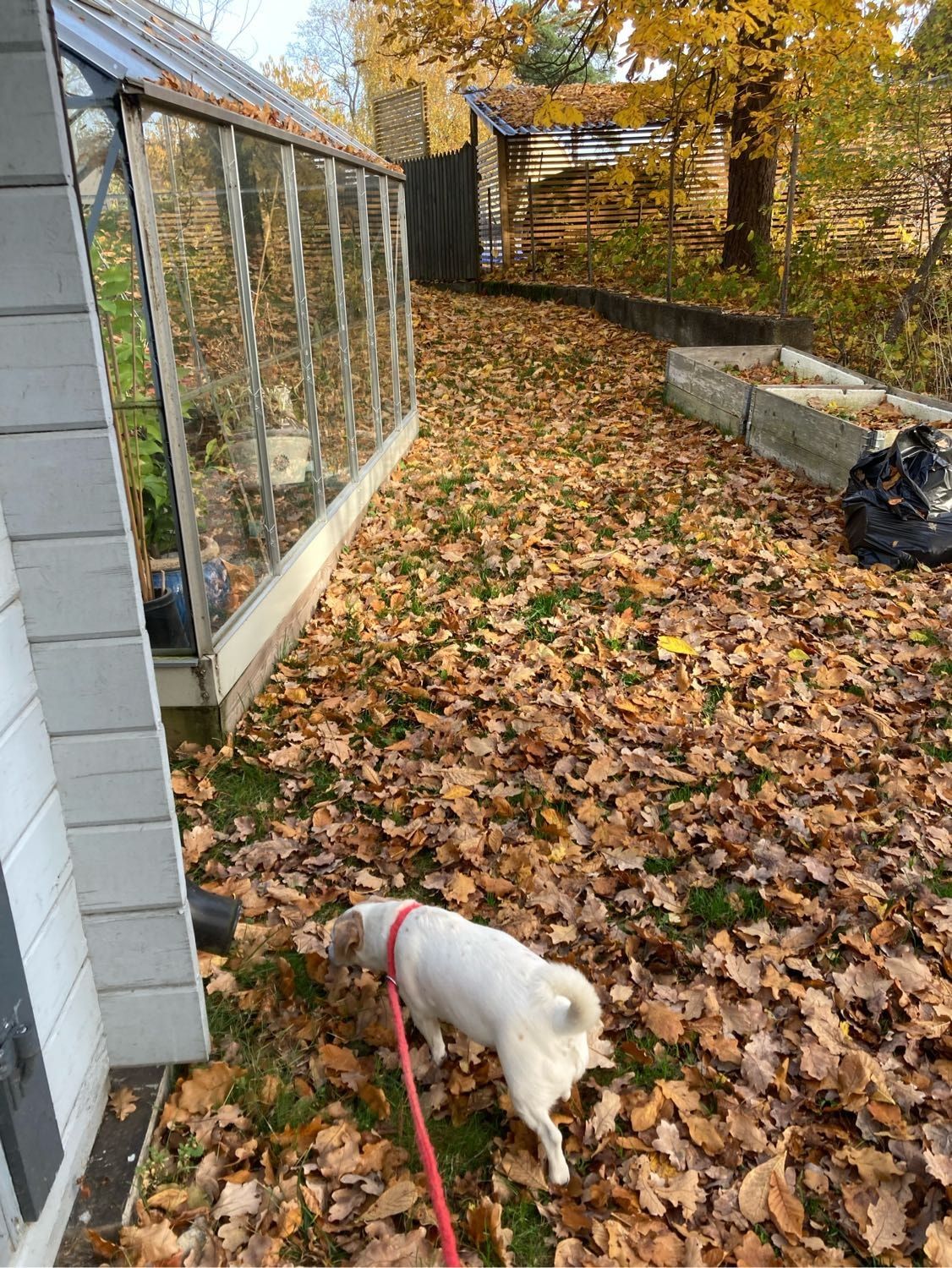 image-34