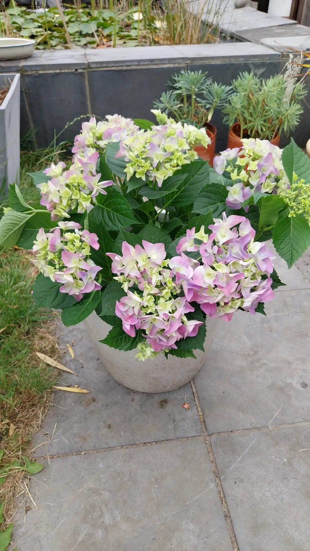 image-15
