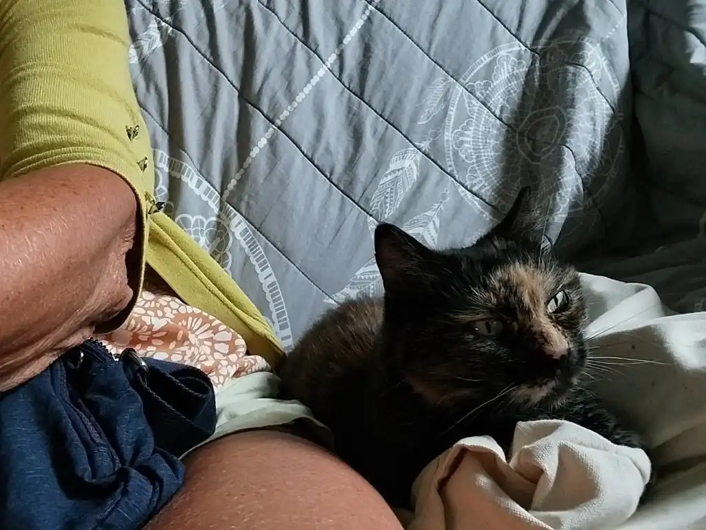 image-8