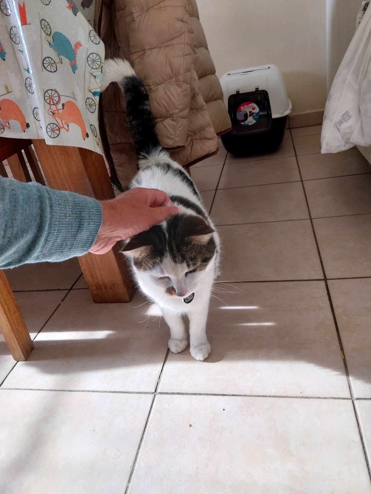 image-13