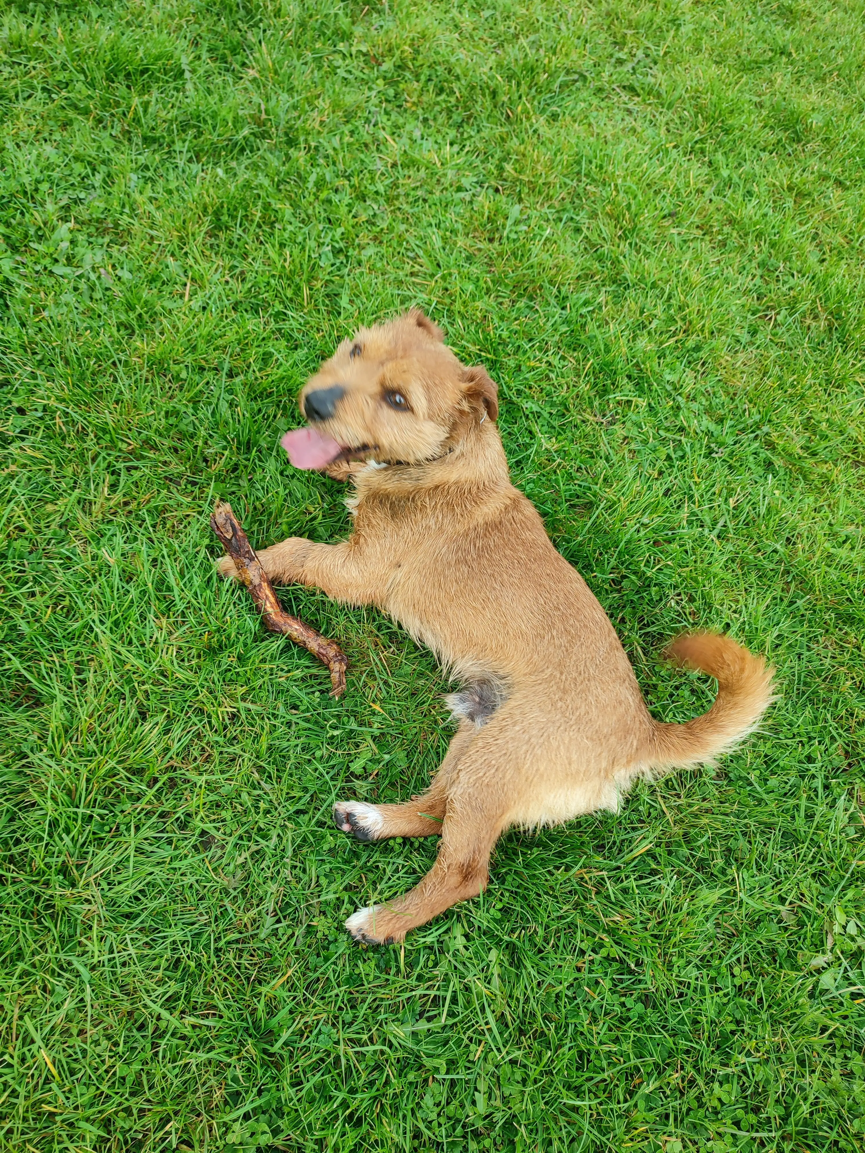 image-4