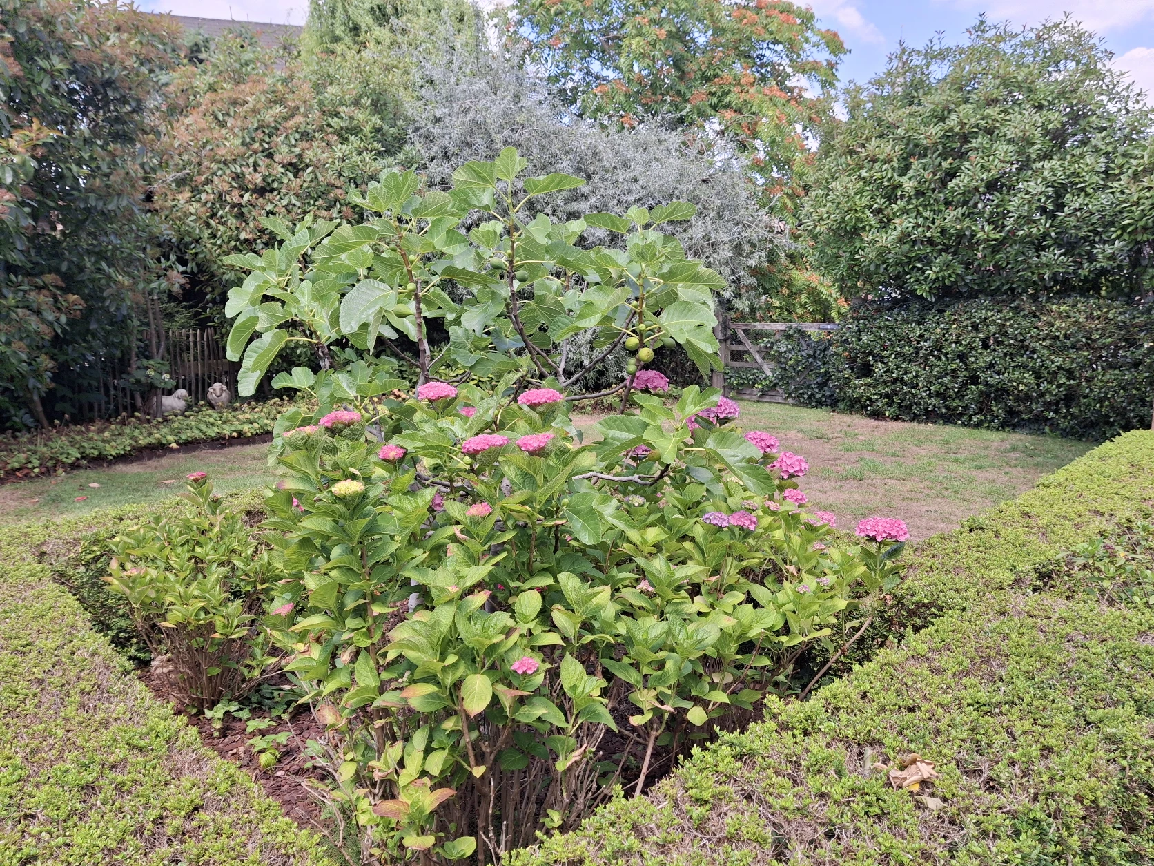 image-14