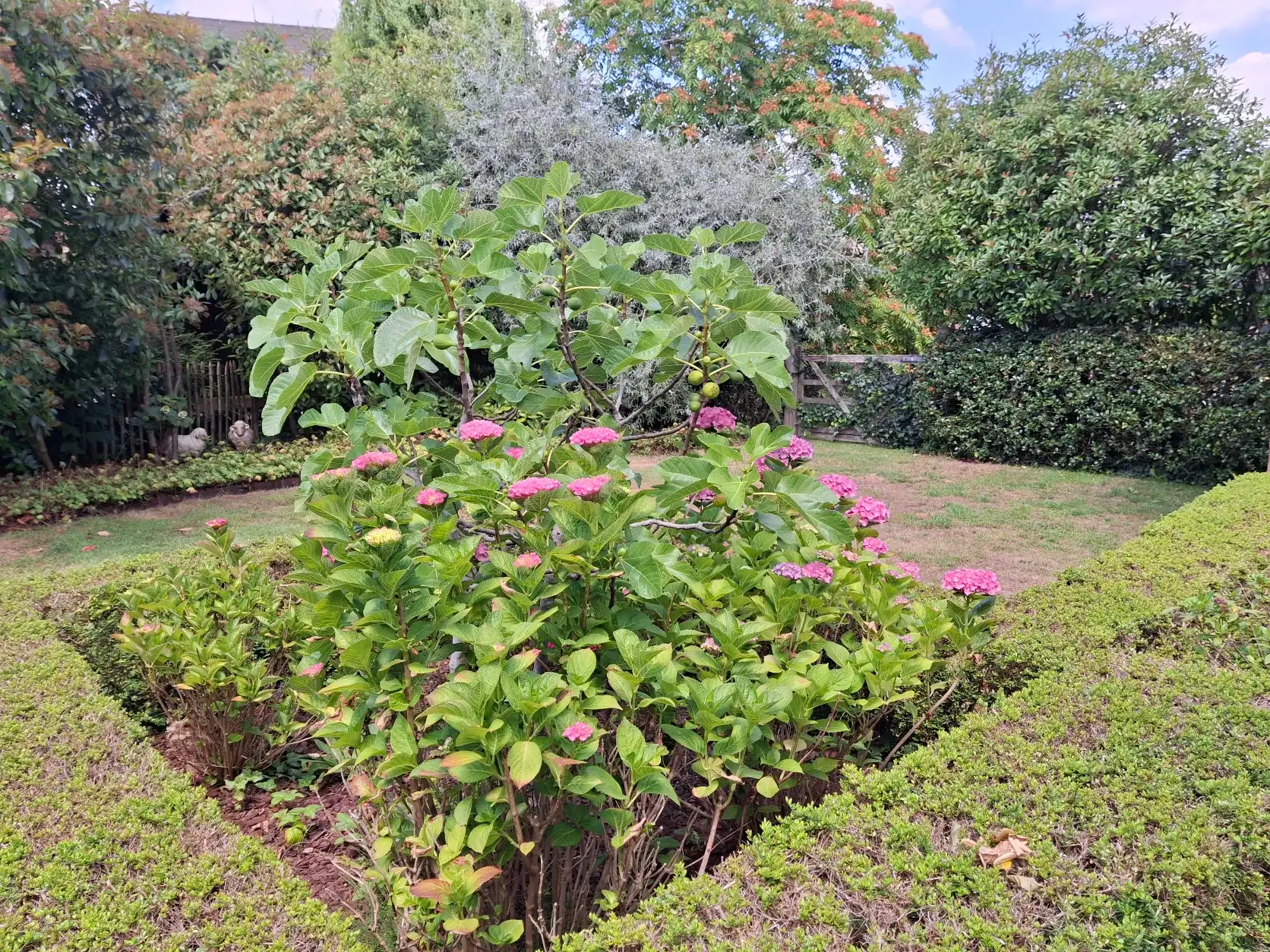 image-14