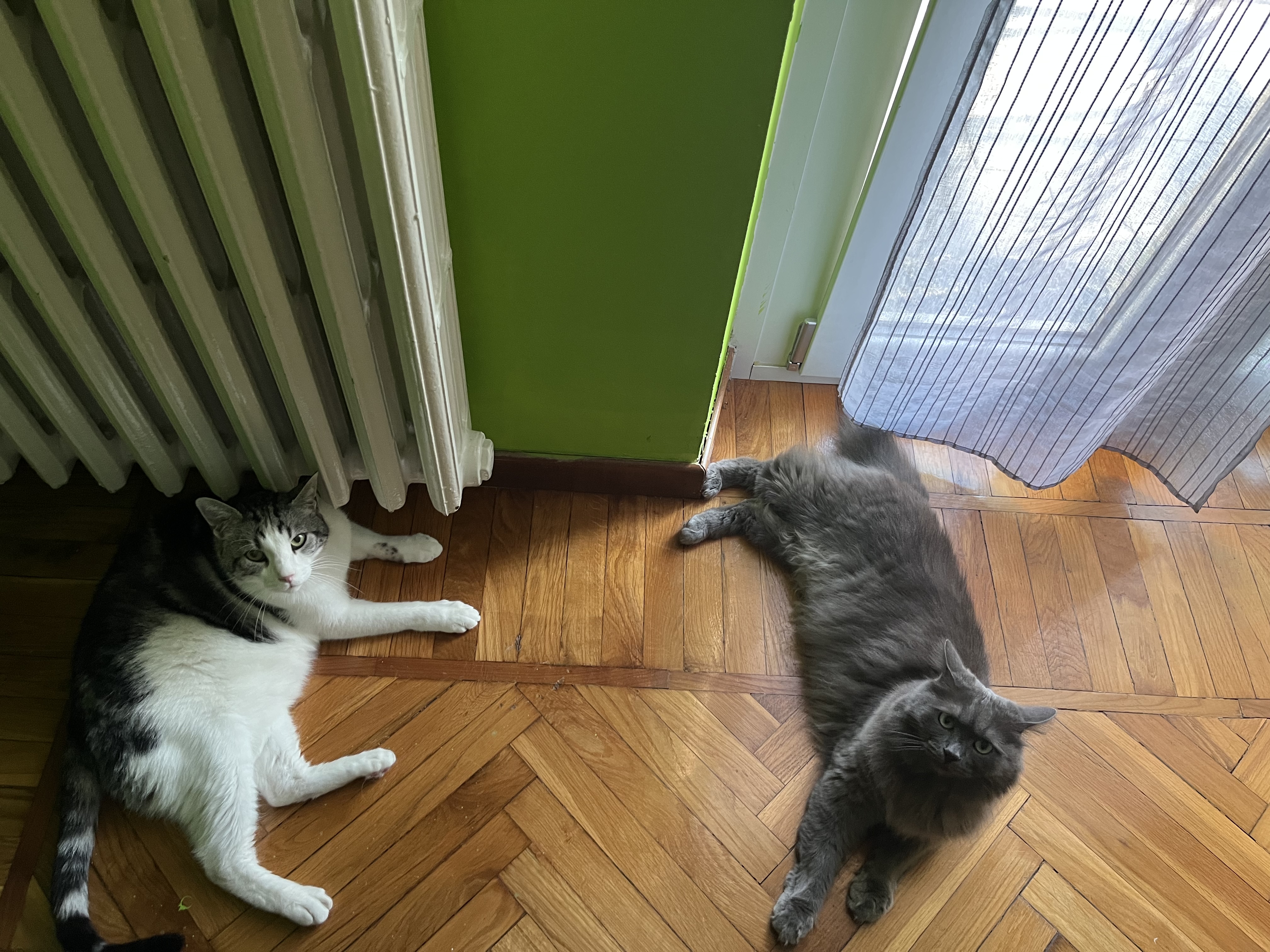 image-14